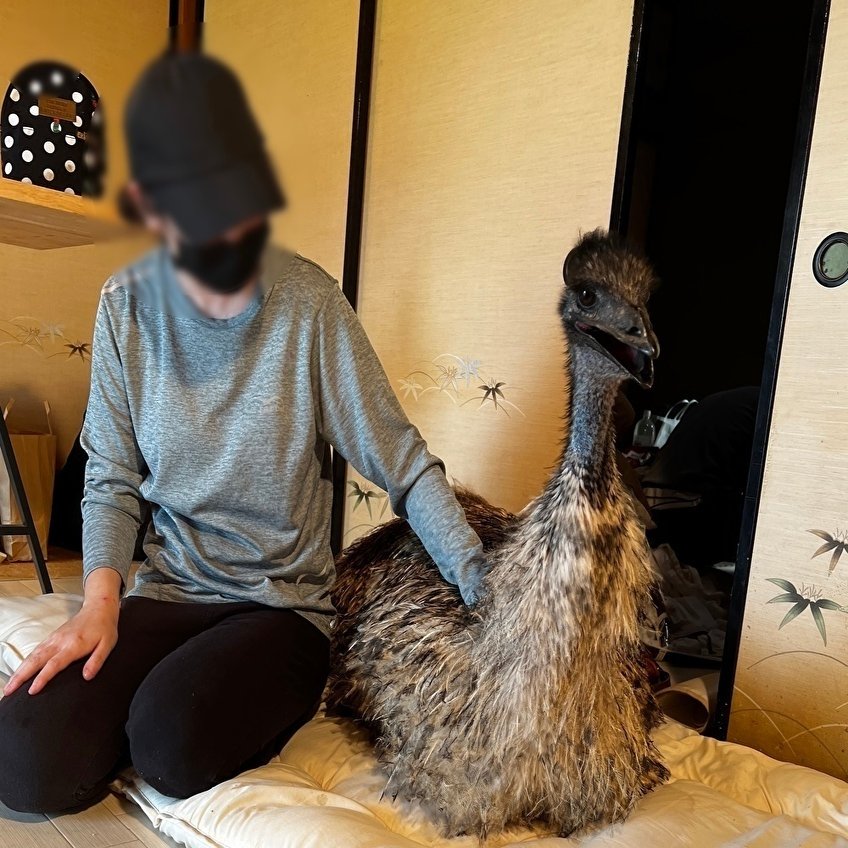 エミューの住む家に行ったら １歳児は茄子に怯えた 岡田 悠 Note