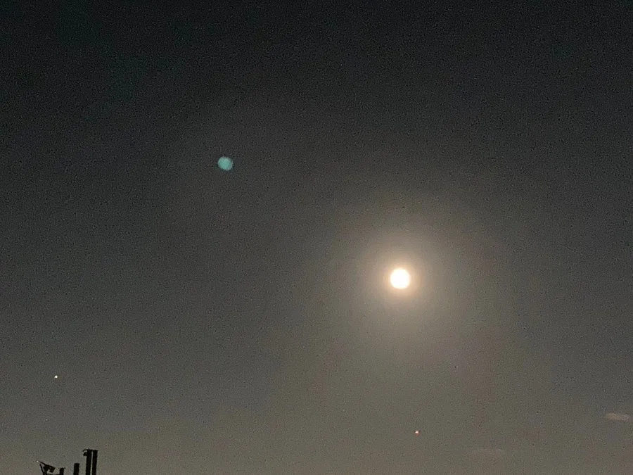 Full Harvest moon on September 2022｜佐山みはる（michaela）