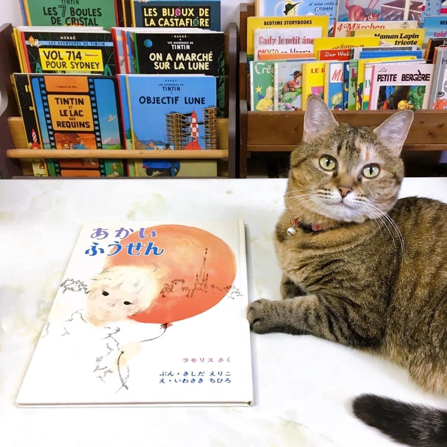 赤い風船を追いかけて｜petit chaton／錆猫本舗＋別館／星川孝
