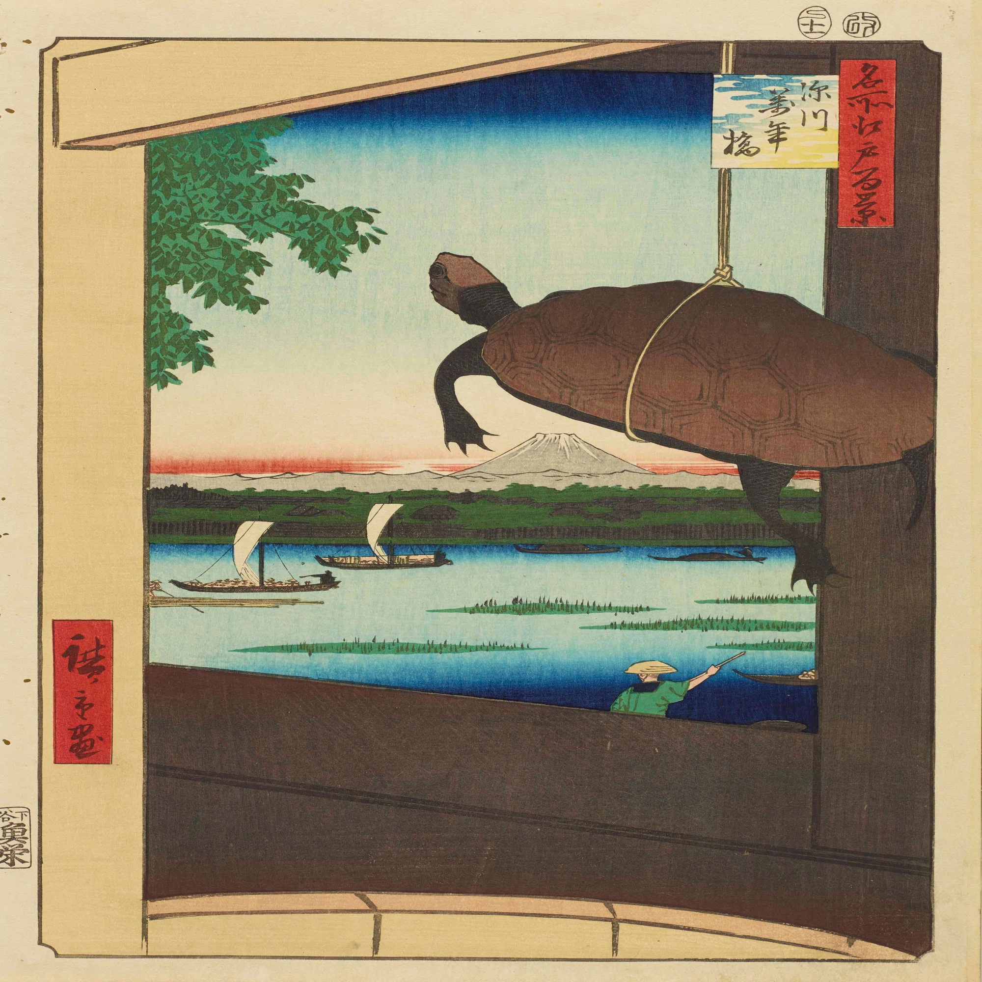 浮世絵のカメたちをご紹介します｜太田記念美術館