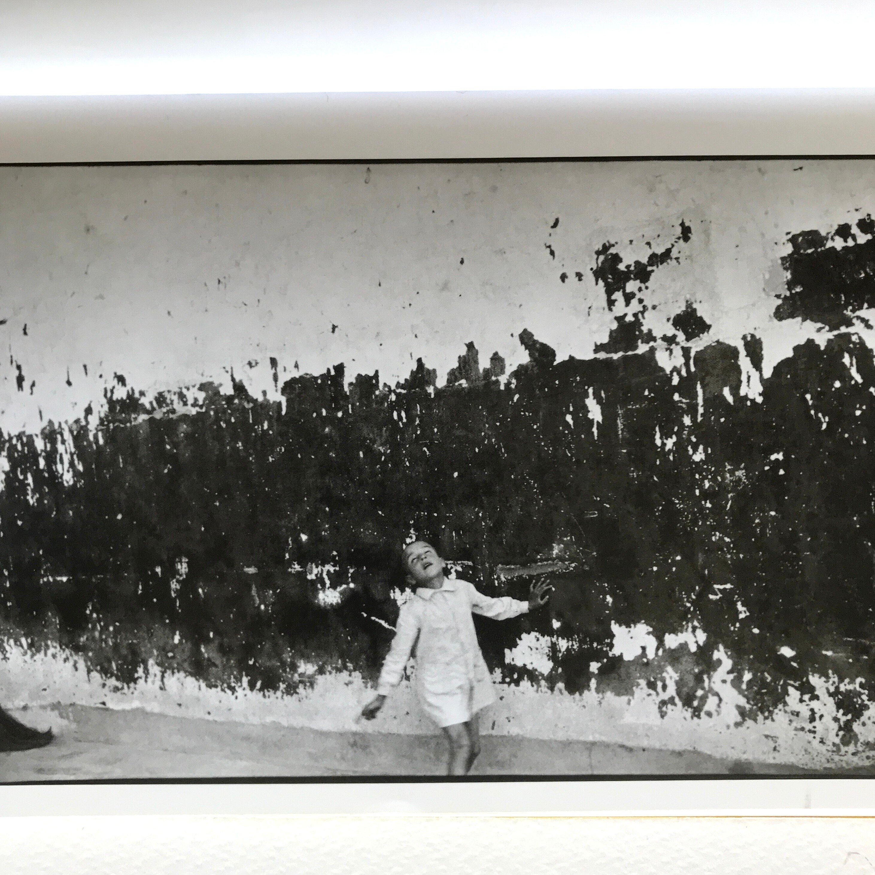 鑑賞感想文 vol.23｜HAKUg｜sHIRO