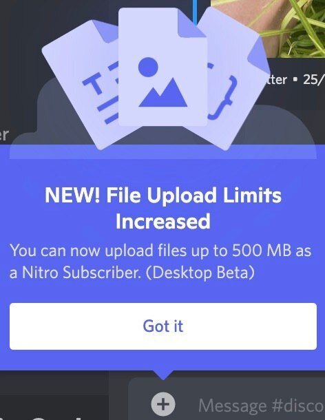 Discord ファイルのアップロードサイズ上限が増加 短報 Hima Note