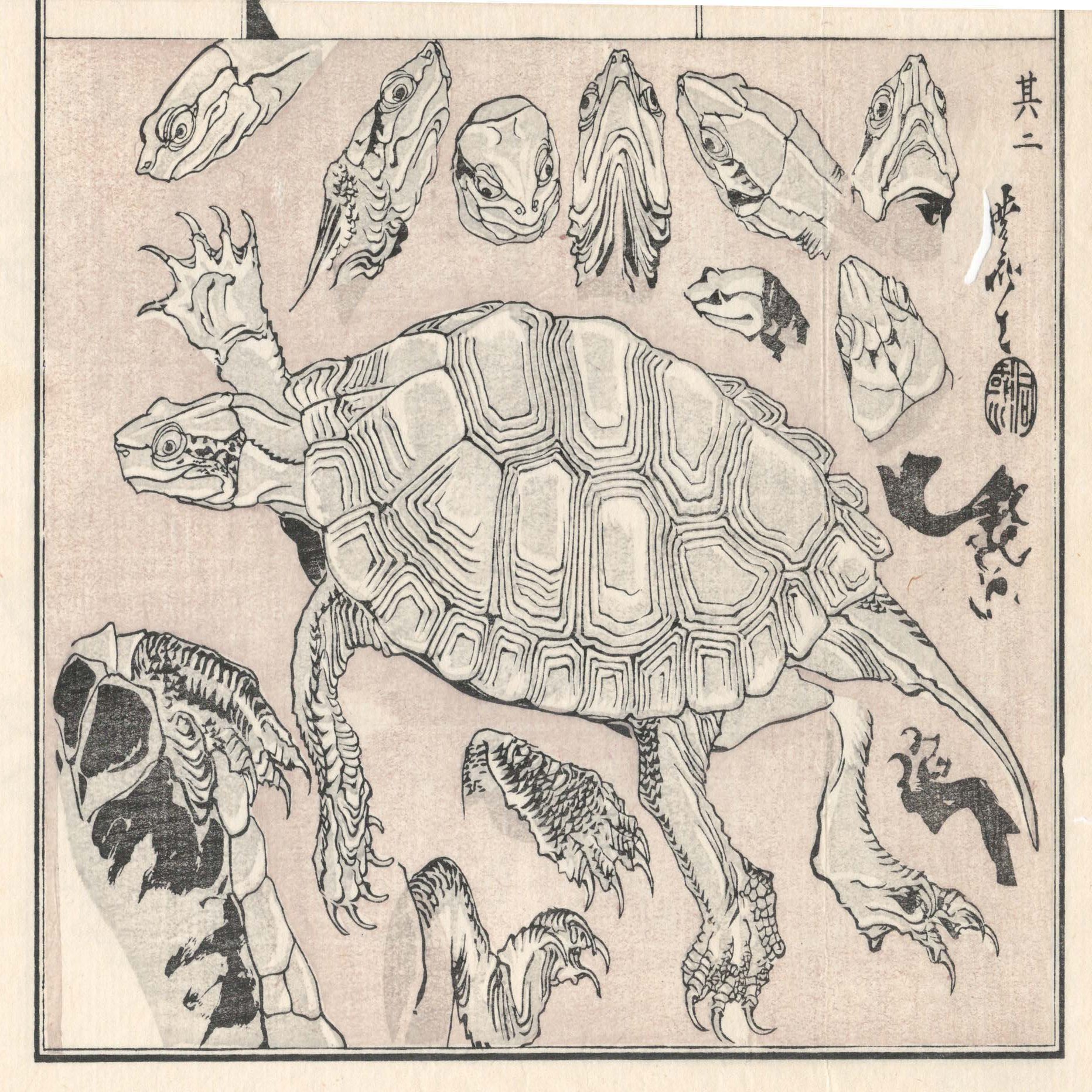 浮世絵のカメたちをご紹介します 太田記念美術館