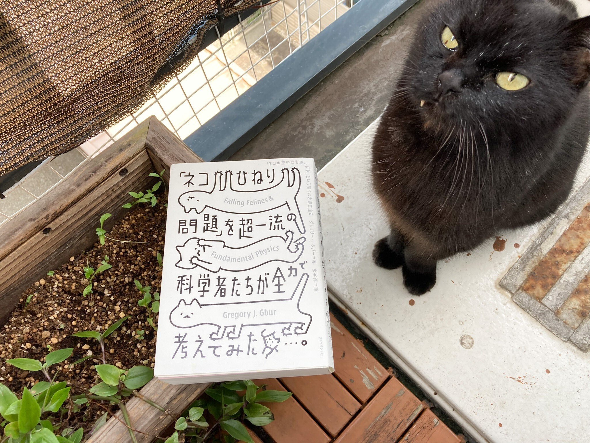 濱野靖人 yasuhito hamano | #濱野輝心 #墨絵 #猫#愛猫家