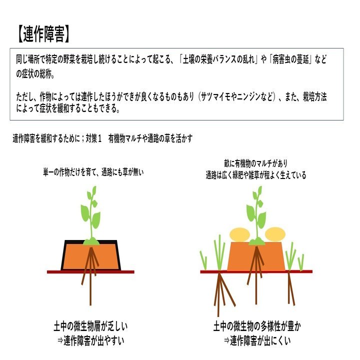 菜園の連作障害対策 月noco 里山ごはんのがっこう Note