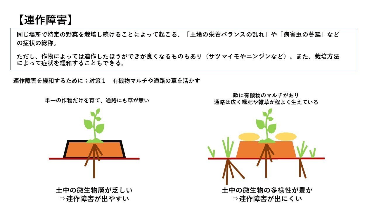 菜園の連作障害対策 月noco 里山ごはんのがっこう Note 菜園の連作障害対策 月noco 里山ごはんのがっこう Note