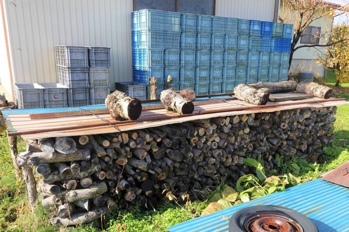 長野県飯綱町】りんごの木を再利用！りんごの薪活用法を農家さんに聞い