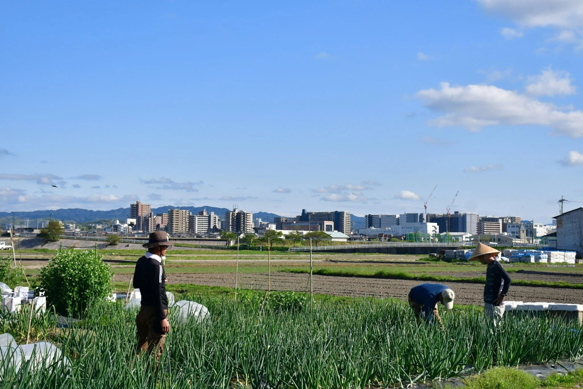 小さな拠点・援農｜ぱたぱたふぁーむ・滋賀県草津市｜NPO法人スモール