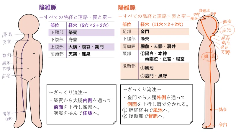 奇系②奇経八脈|negi76129