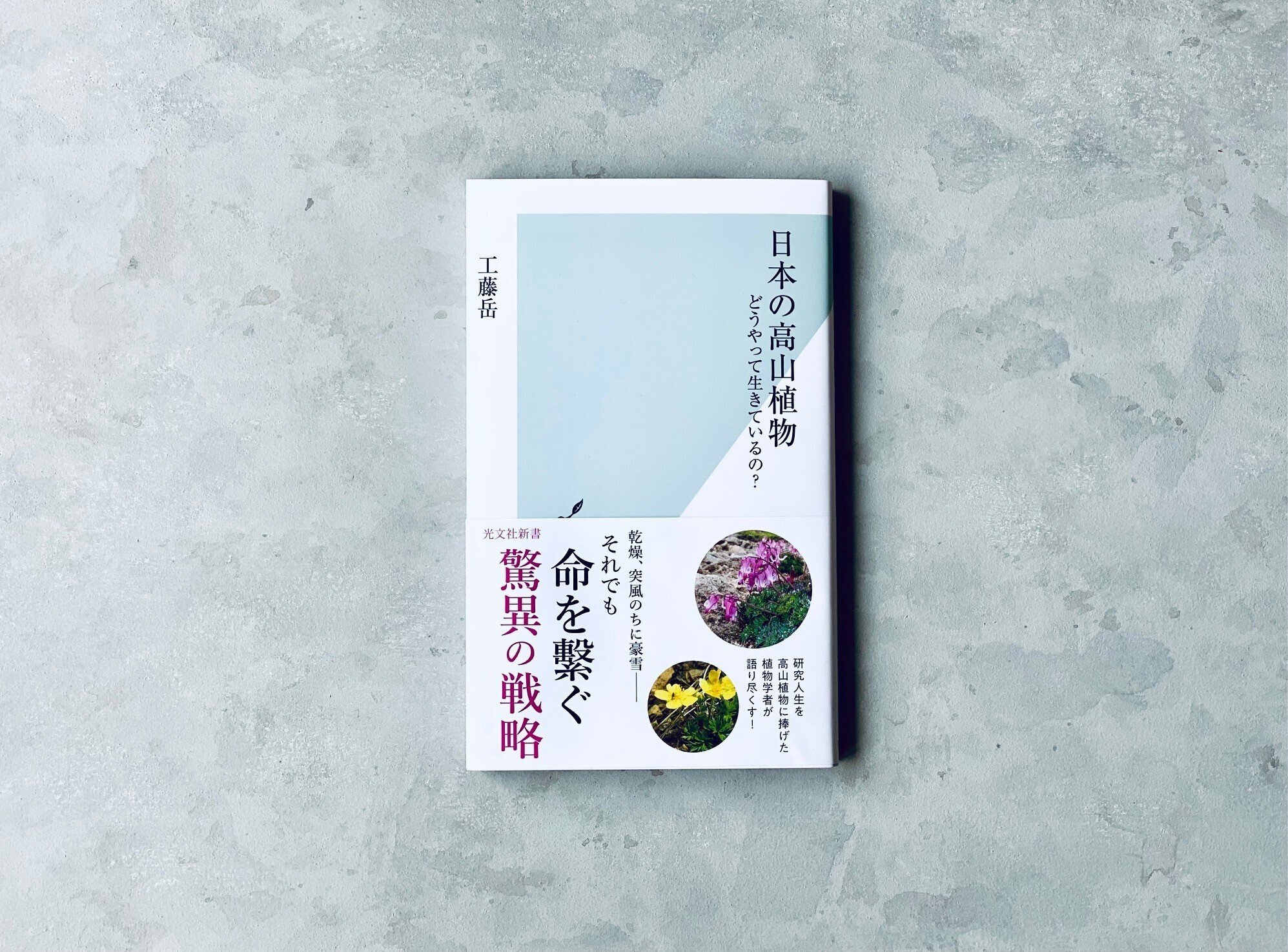 光文社新書】2022年9月刊5冊の内容を3分で！｜光文社新書