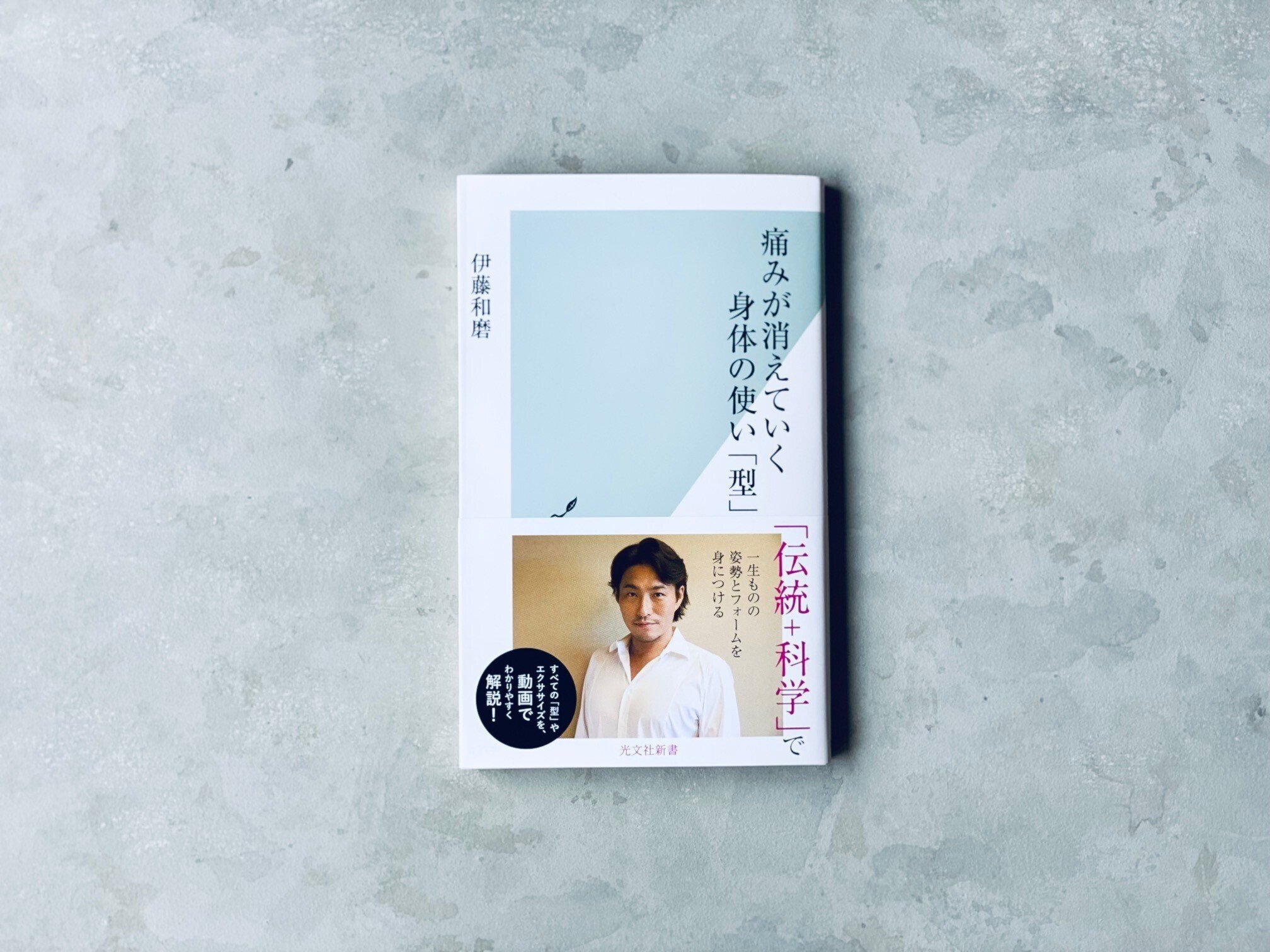 ✿「光照」 絶妙書✿ A000007-1959｜伏見天皇｜御自筆御歌集断簡「広沢切」｜本間美術館所蔵