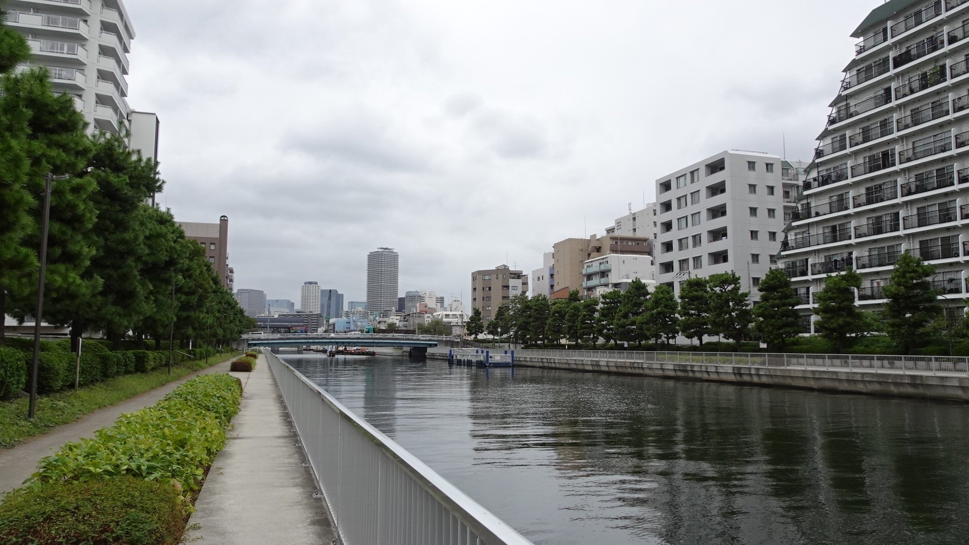 View from clear creeks はみだし 澄んだ小川の景色