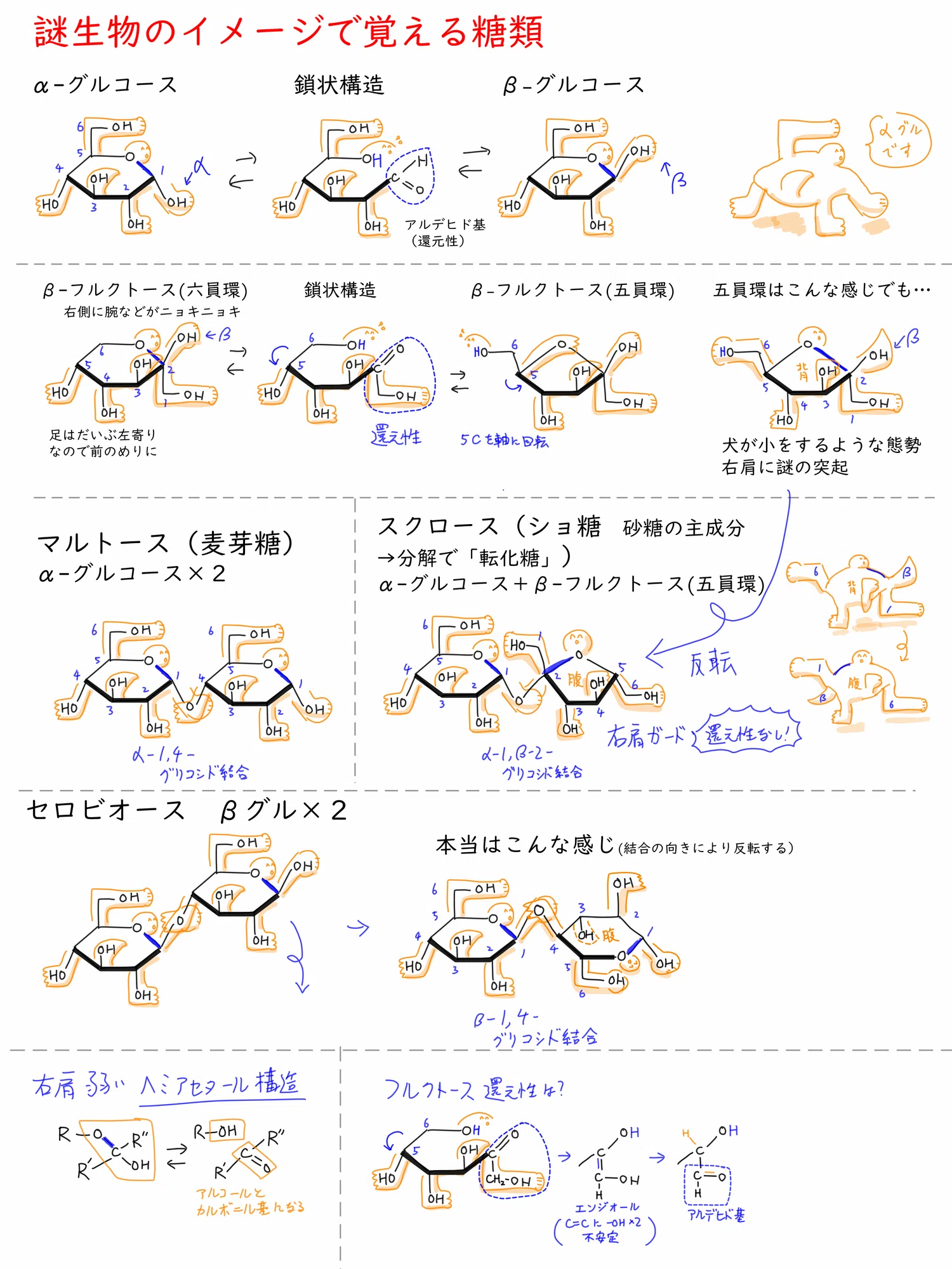 糖の構造