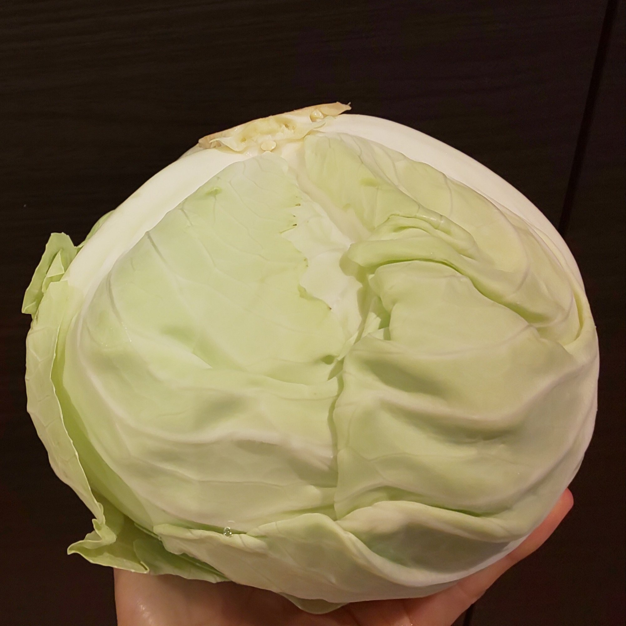 硬いキャベツはこんな形 愛川真白 あいかわましろ Note