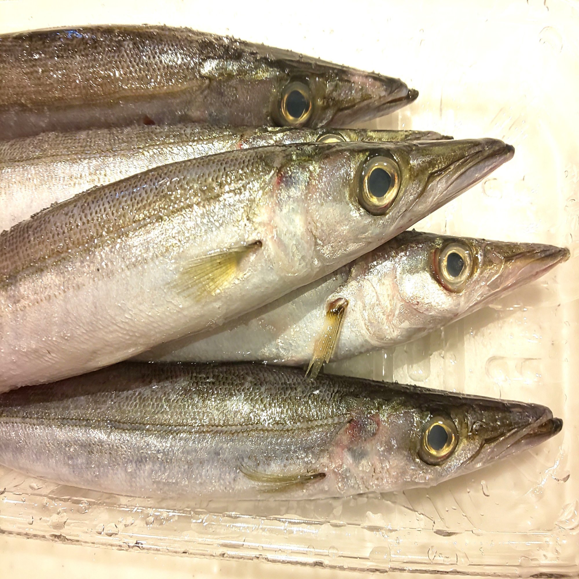 私は まるごと の食材が好き 愛川真白 あいかわましろ Note