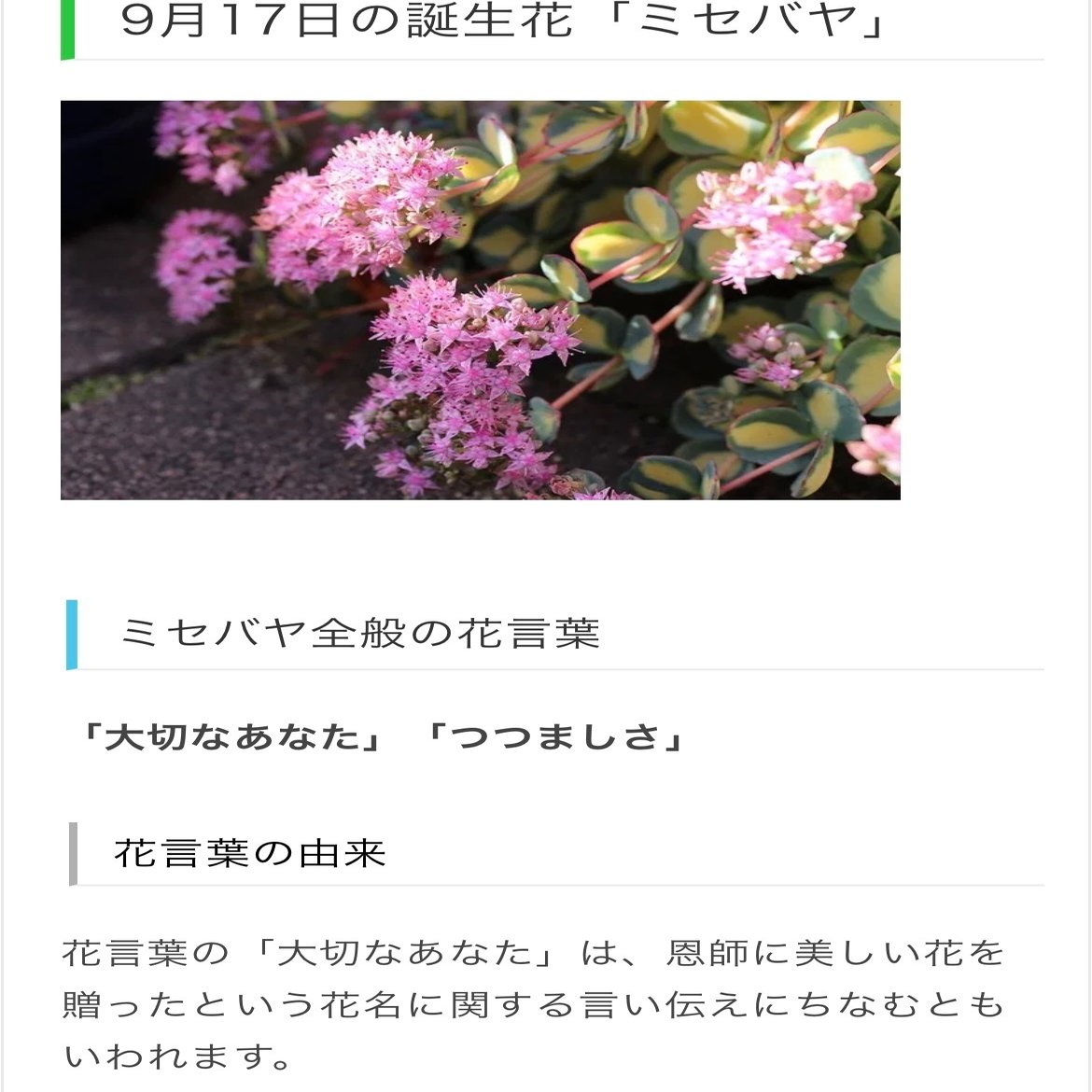 9月17日生まれのあなたへ Chiyo Note