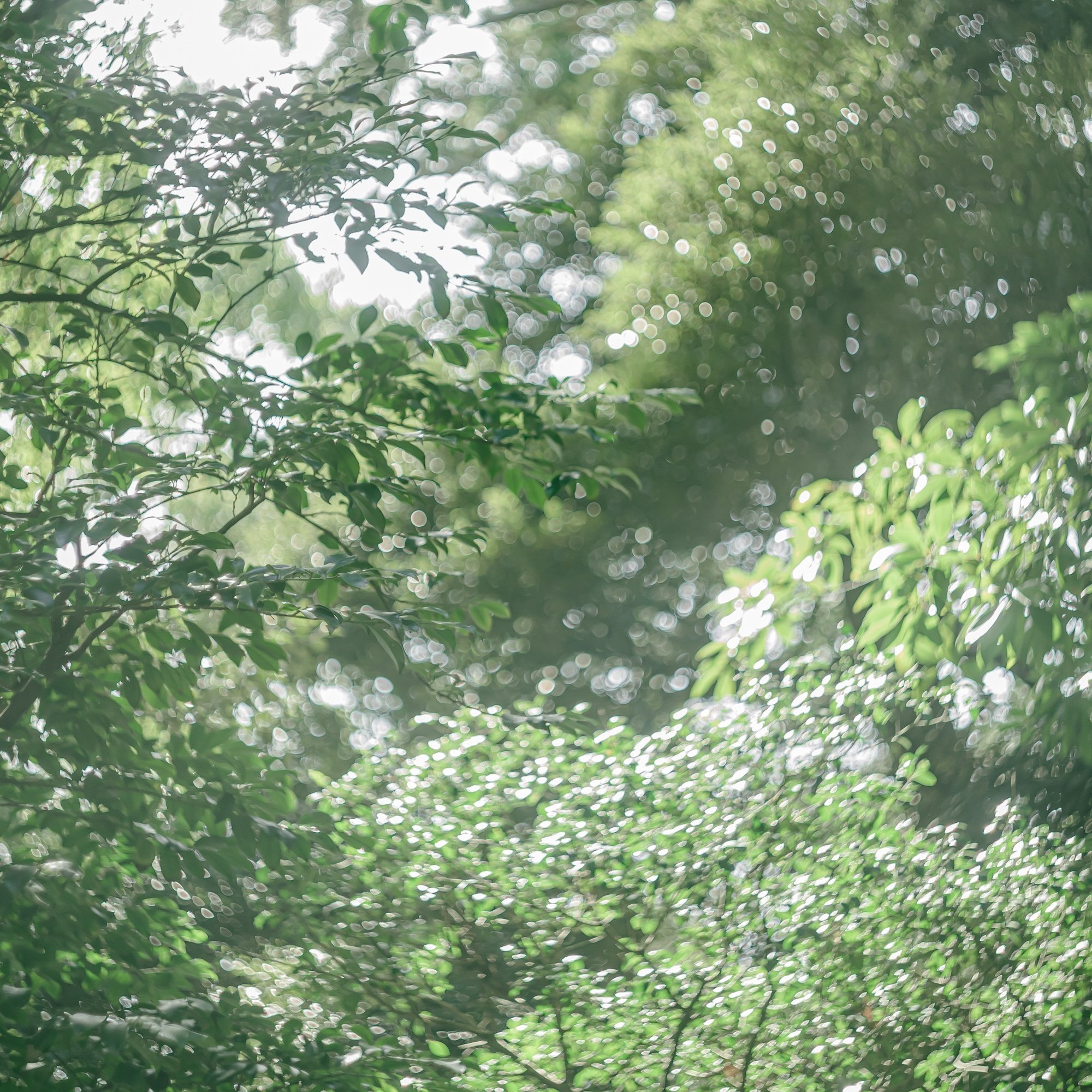 Design&Art｜デザインを覗く 〈12.人間と自然〉｜LAPUAN KANKURIT 表参道