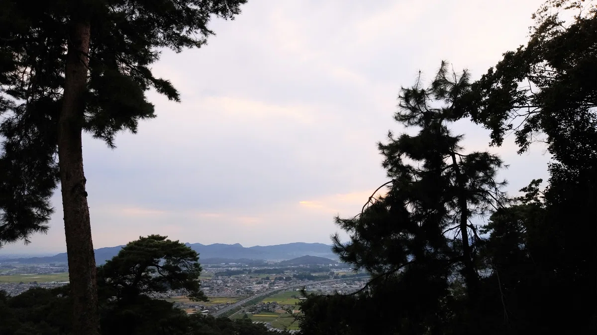 画像