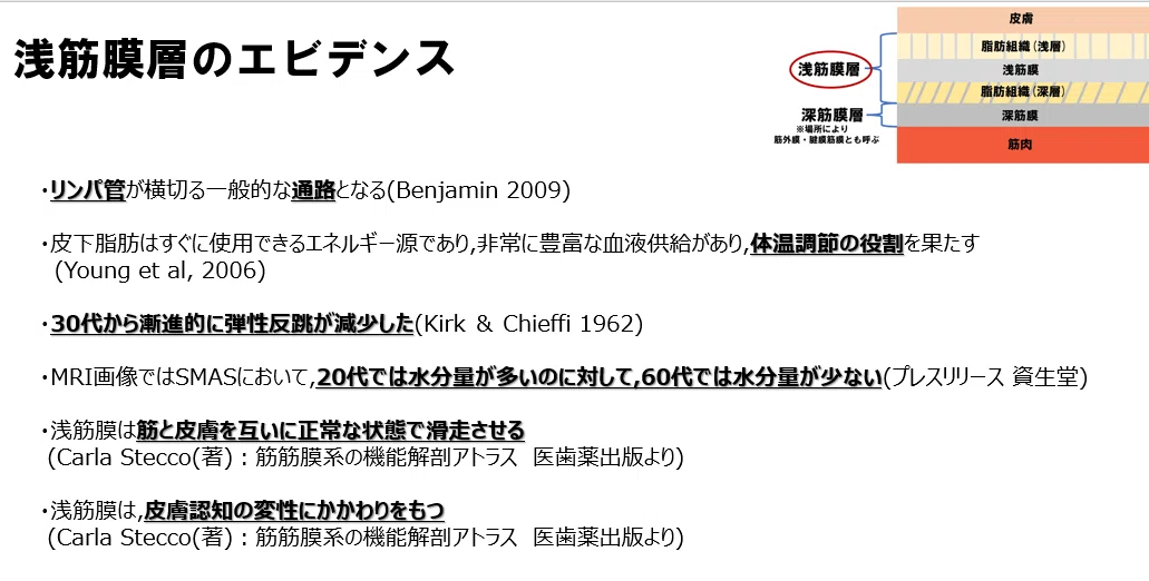 「頸部の緩和」浅筋膜シリンダーと運動シリンダーへのアプローチ 筋膜 第1回 《浅筋膜》｜上田浩司（理学療法士）