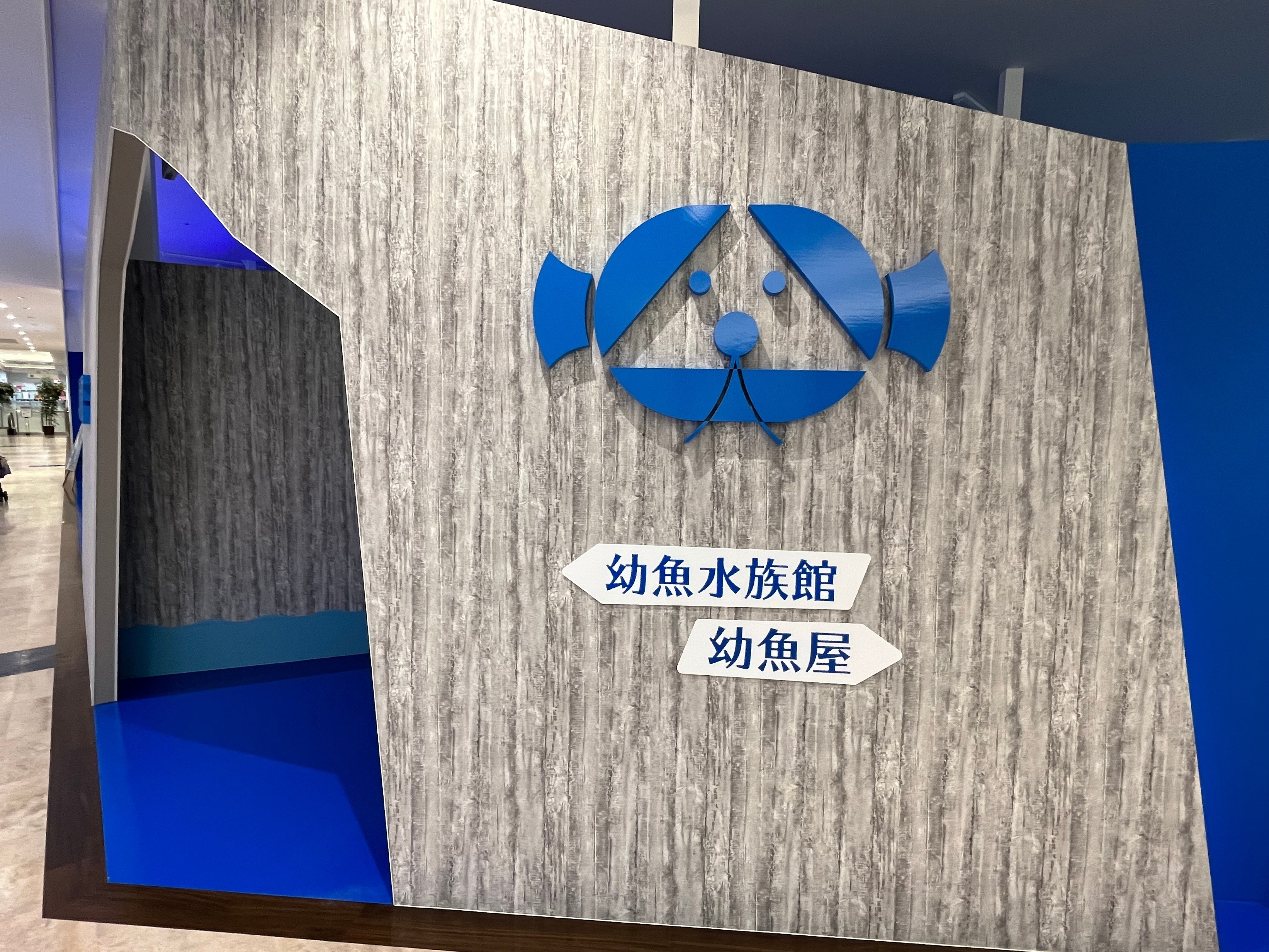 レポ#33 幼魚水族館｜haru