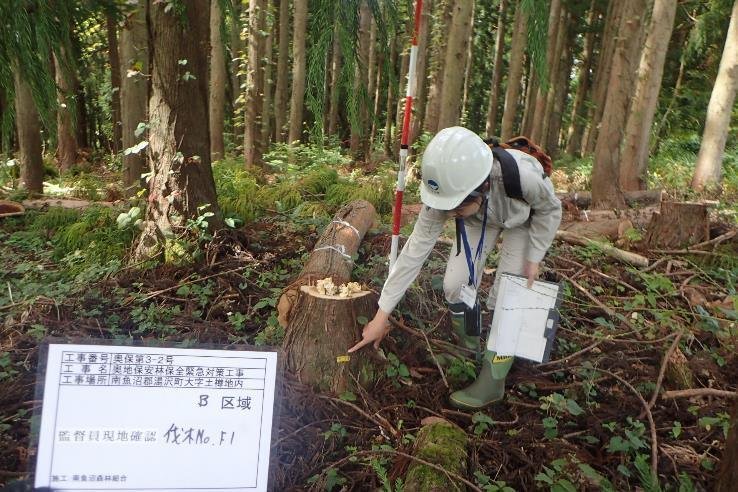 保安林の保育作業の現場確認をしている様子