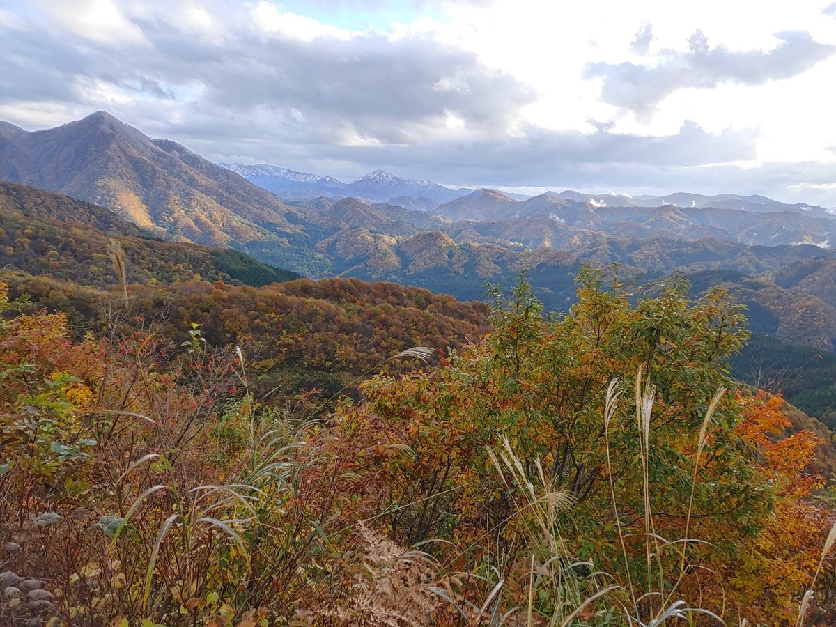 現場からの景色