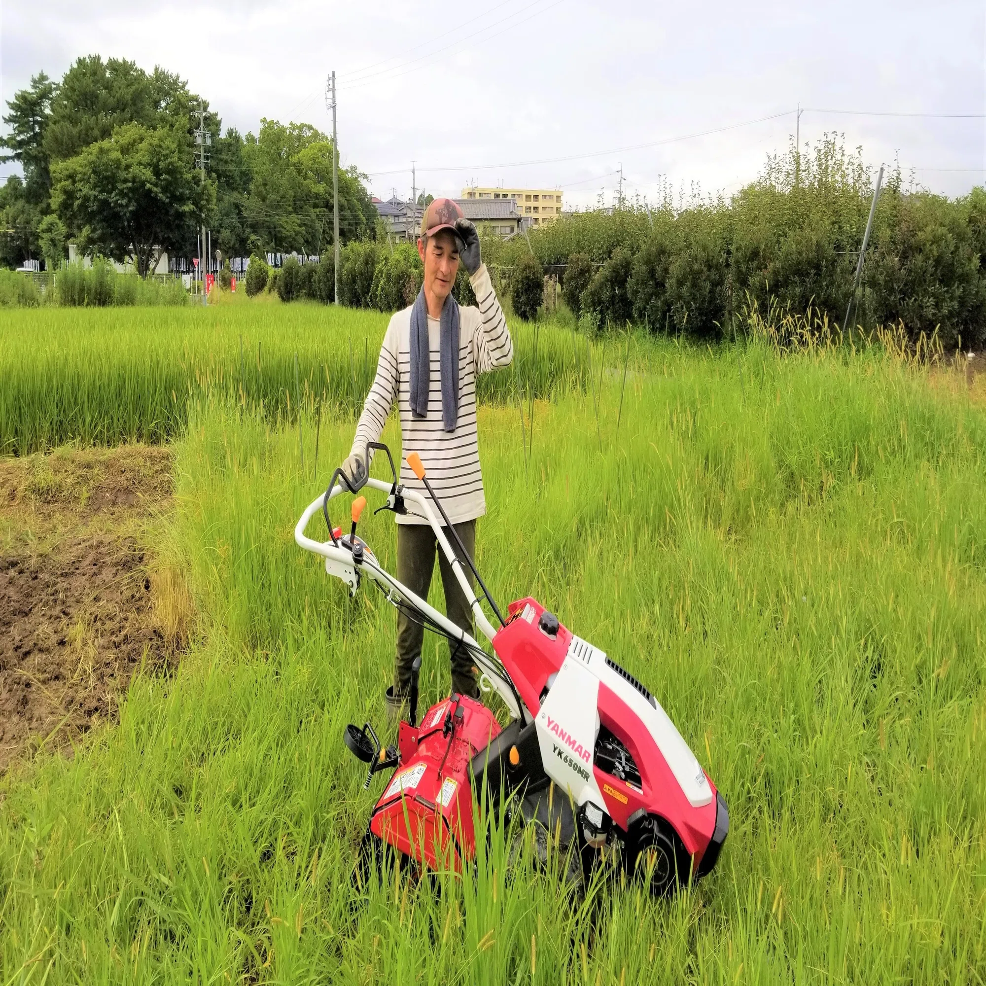 耕うん機? 家庭菜園で買うべきか｜錬金術師の家庭菜園