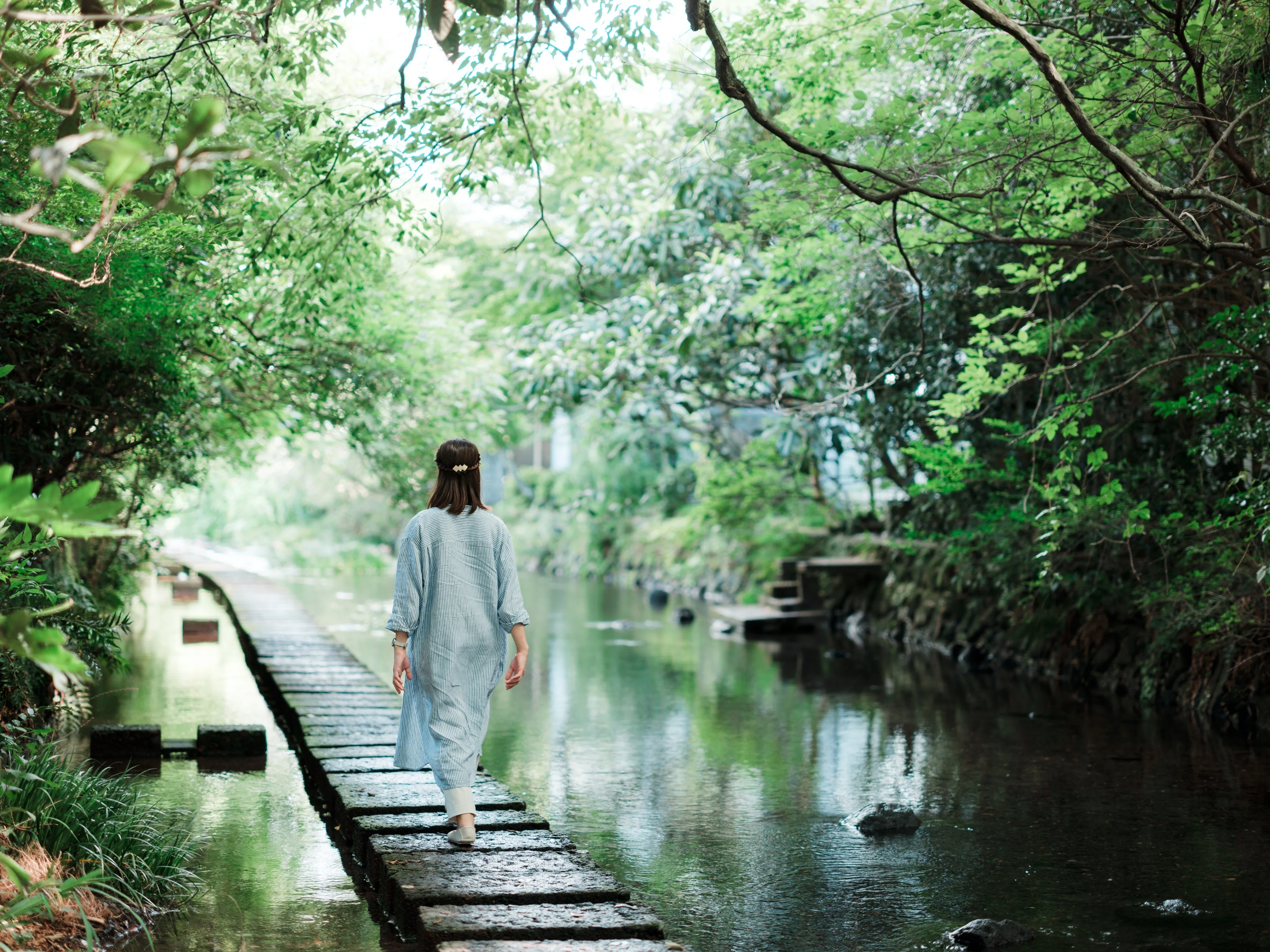 562【静岡】青春18きっぷを使って夏を探しに行ってきた -後半-｜旅する