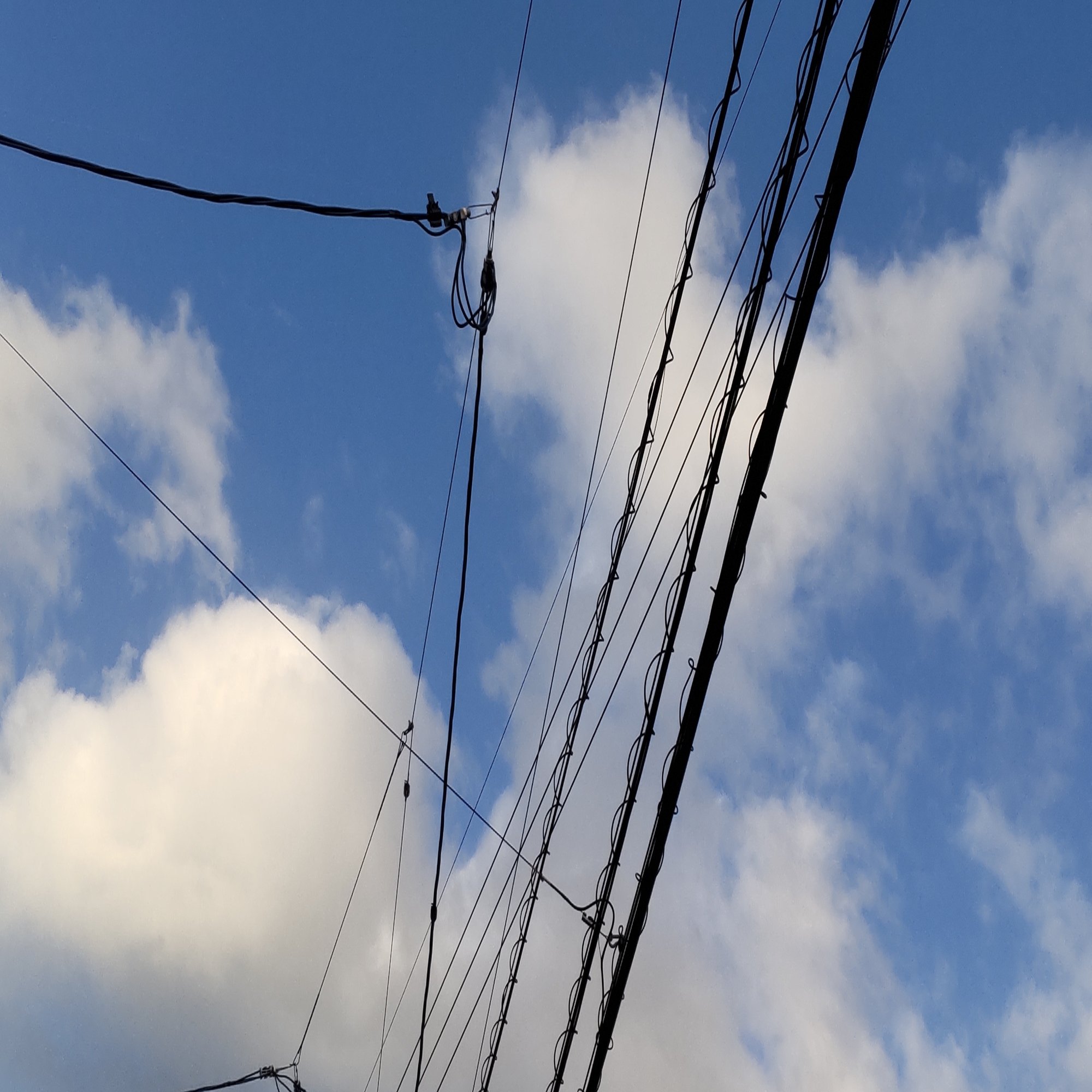 見極める方法を教えます 電線 電力線 電話線 電柱 電力柱 電信柱 入門真生 ｲﾘｶﾄﾞﾏｻｵ 毎朝note 学びと気付きのアウトプット Npo法人好きっちゃ北九州 Note