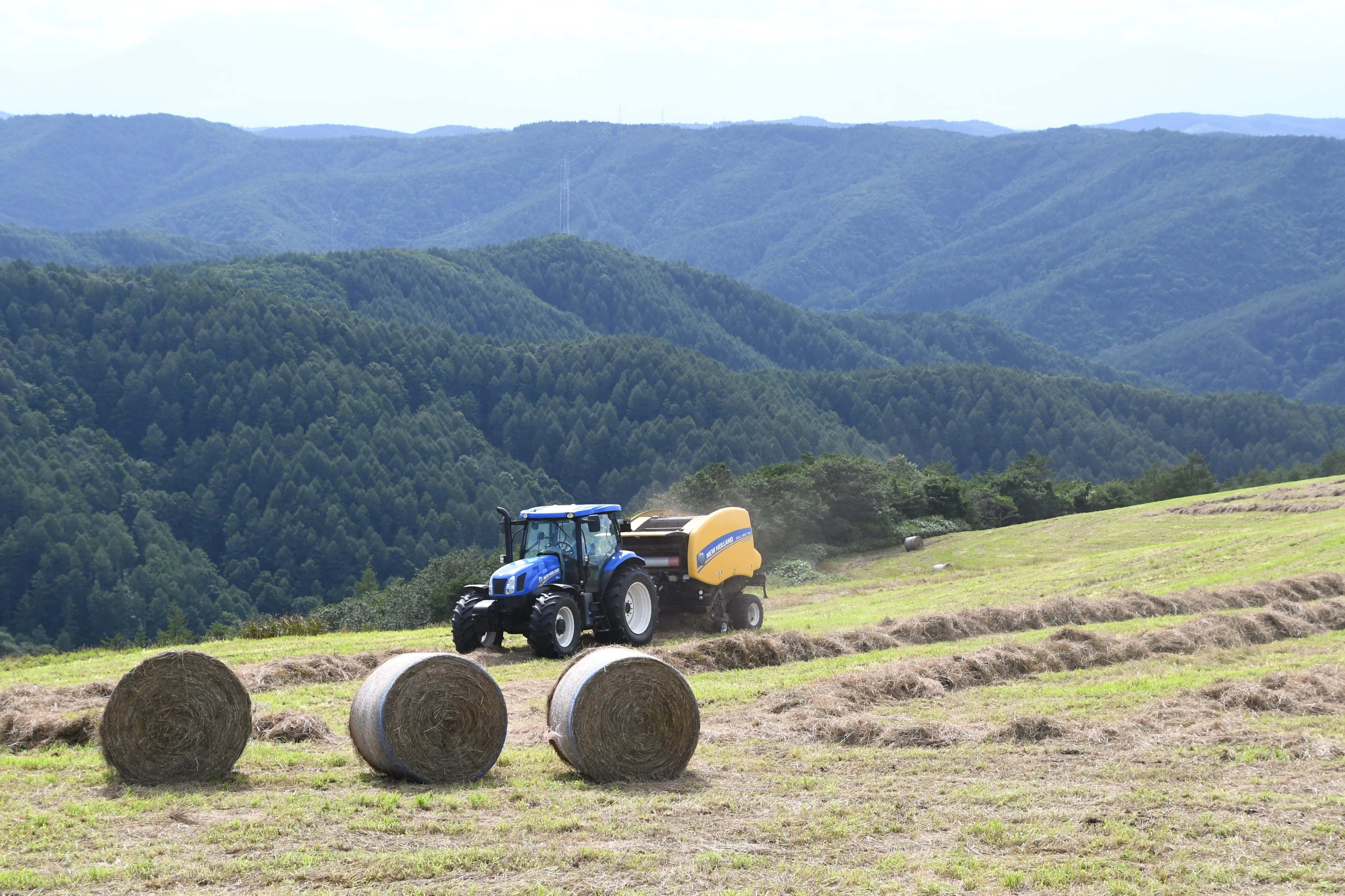 葛高】牧草ロールアートへの挑戦！｜岩手県立葛巻高等学校