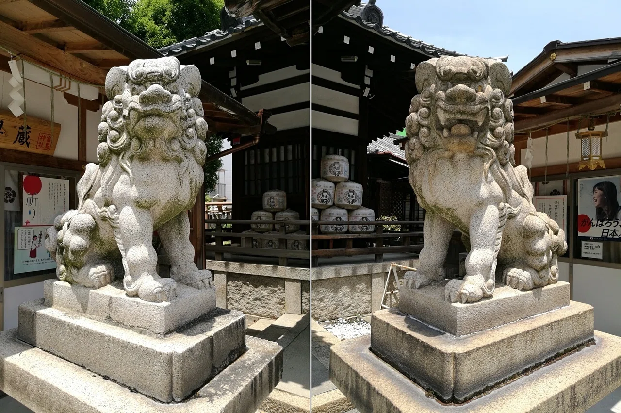 狛犬 大阪市の神社と狛犬 ➅北区④富島神社～空を見上げる享和の狛犬～｜komajin