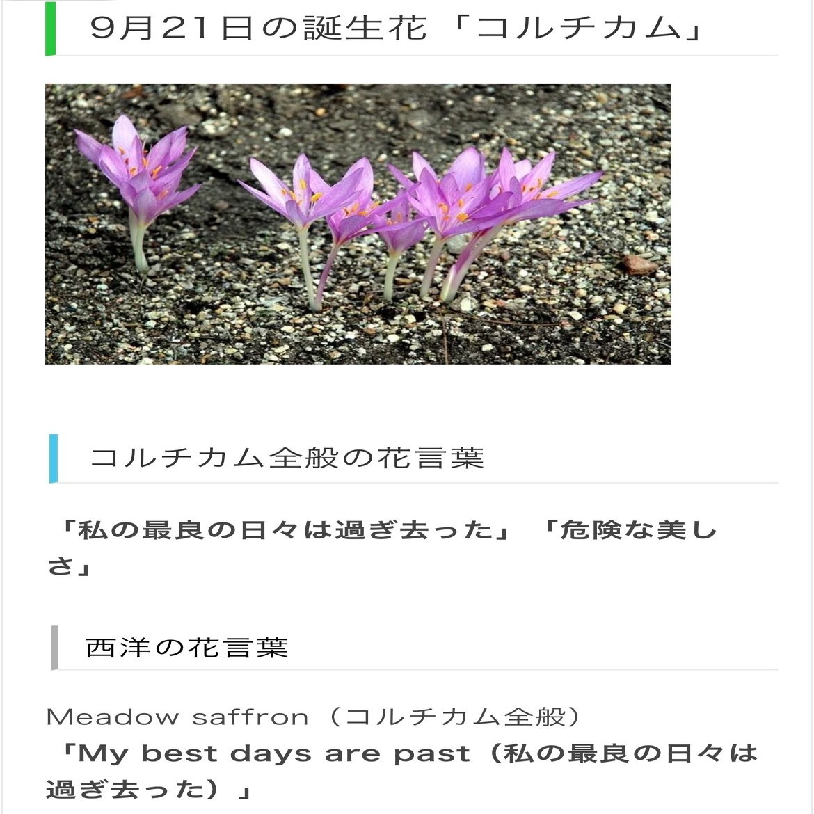 9月21日生まれのあなたへ Chiyo Note