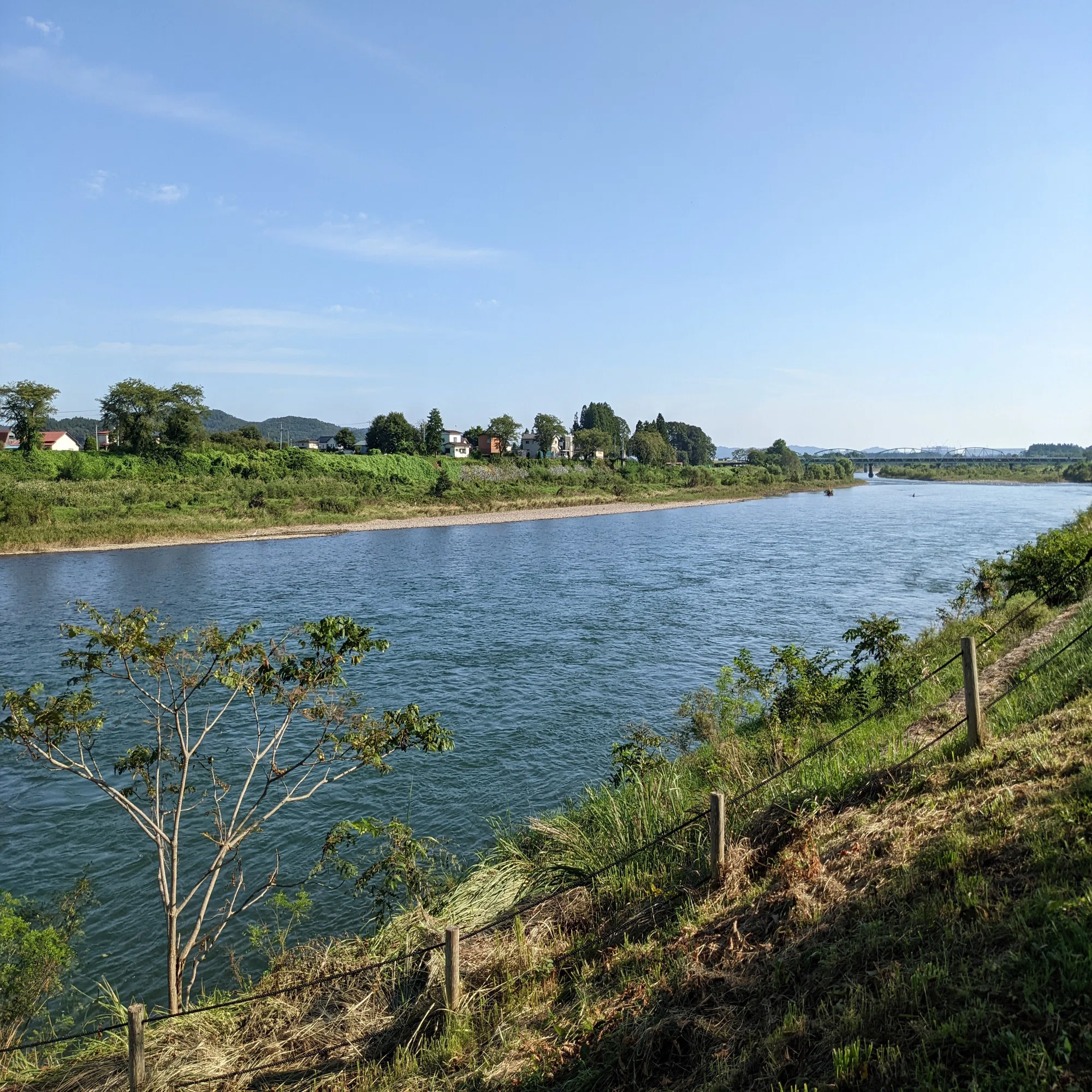 光の交錯の場 宮沢賢治の「イギリス海岸」｜岡田基生