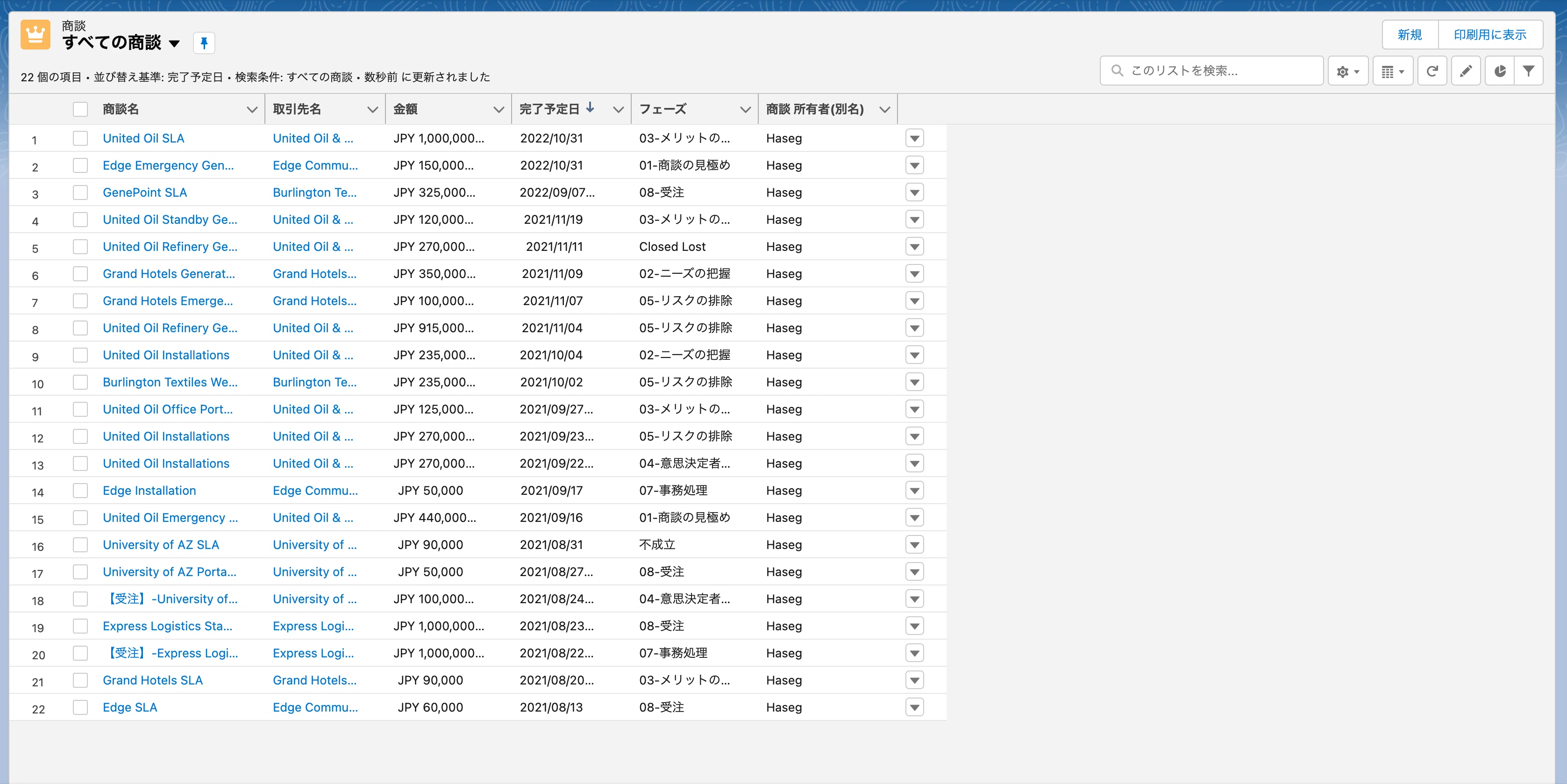 Using Reset Column Widths in Salesforce List Views.｜長谷川シン