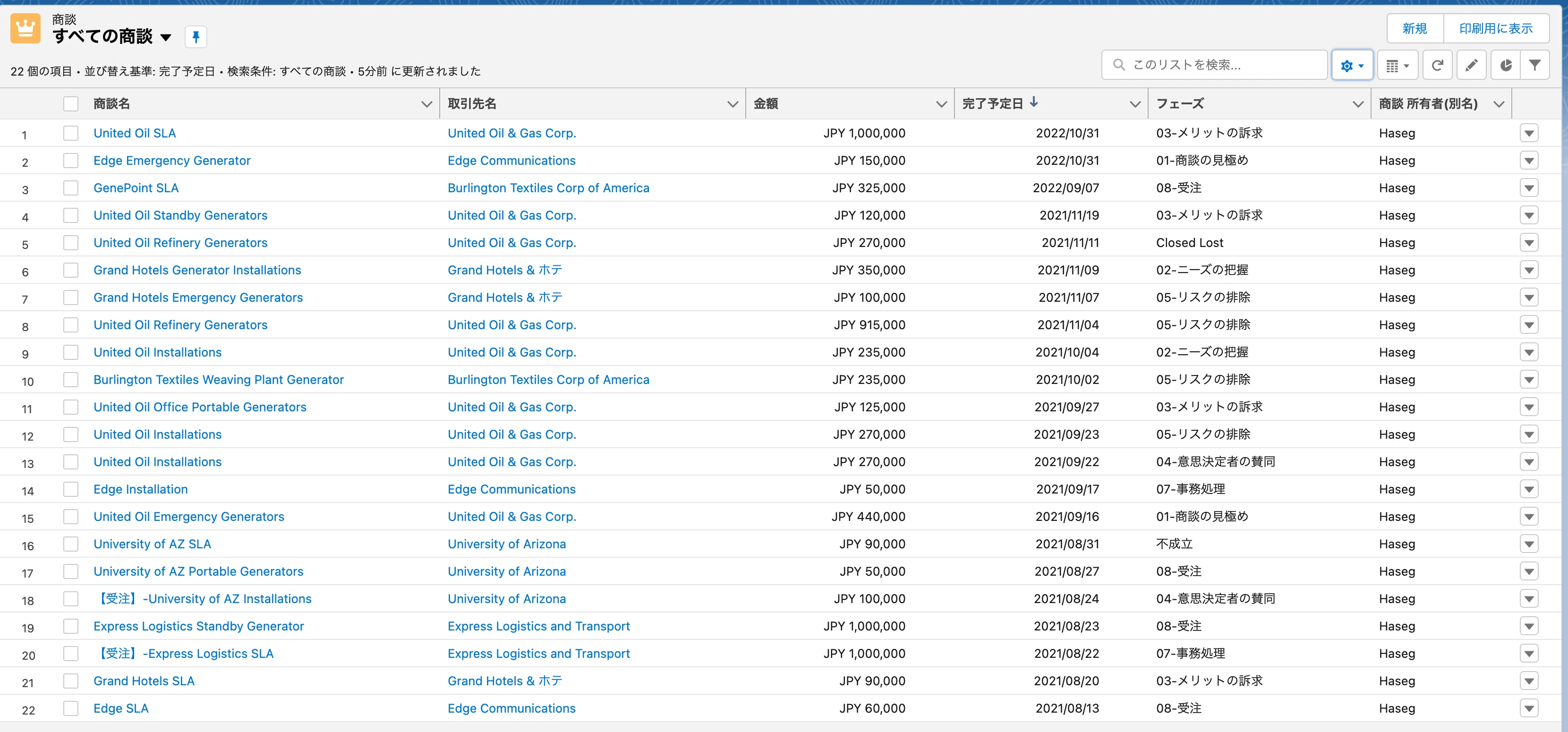 Using Reset Column Widths in Salesforce List Views.｜長谷川シン