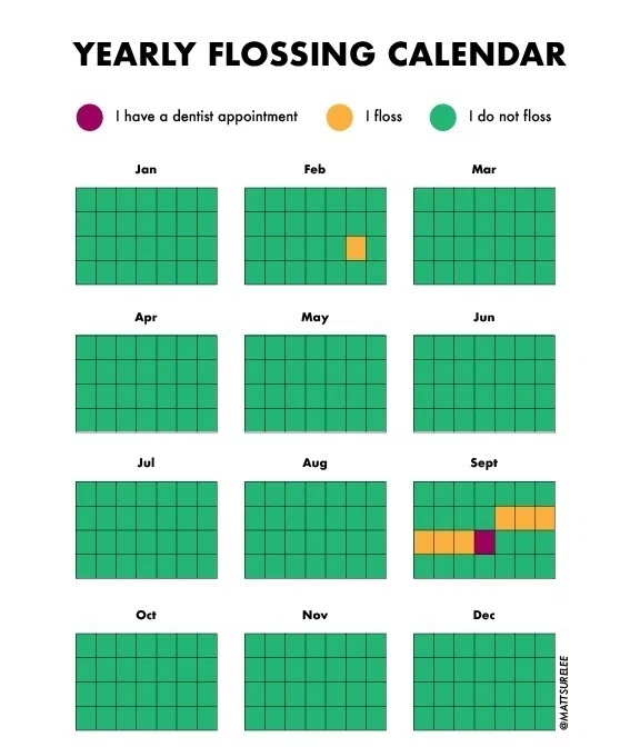 年間カレンダーが書かれており、タイトルに「YEARLY FLOSSING CALENDAR」の文字。ほぼ全てが緑色(「I do not floss」)で塗られており、9月の半ばだけ紫色で「I have a dentist appointment」の表記。2月の半ばと、歯医者の予約の前後だけ「I floss」と書かれている。