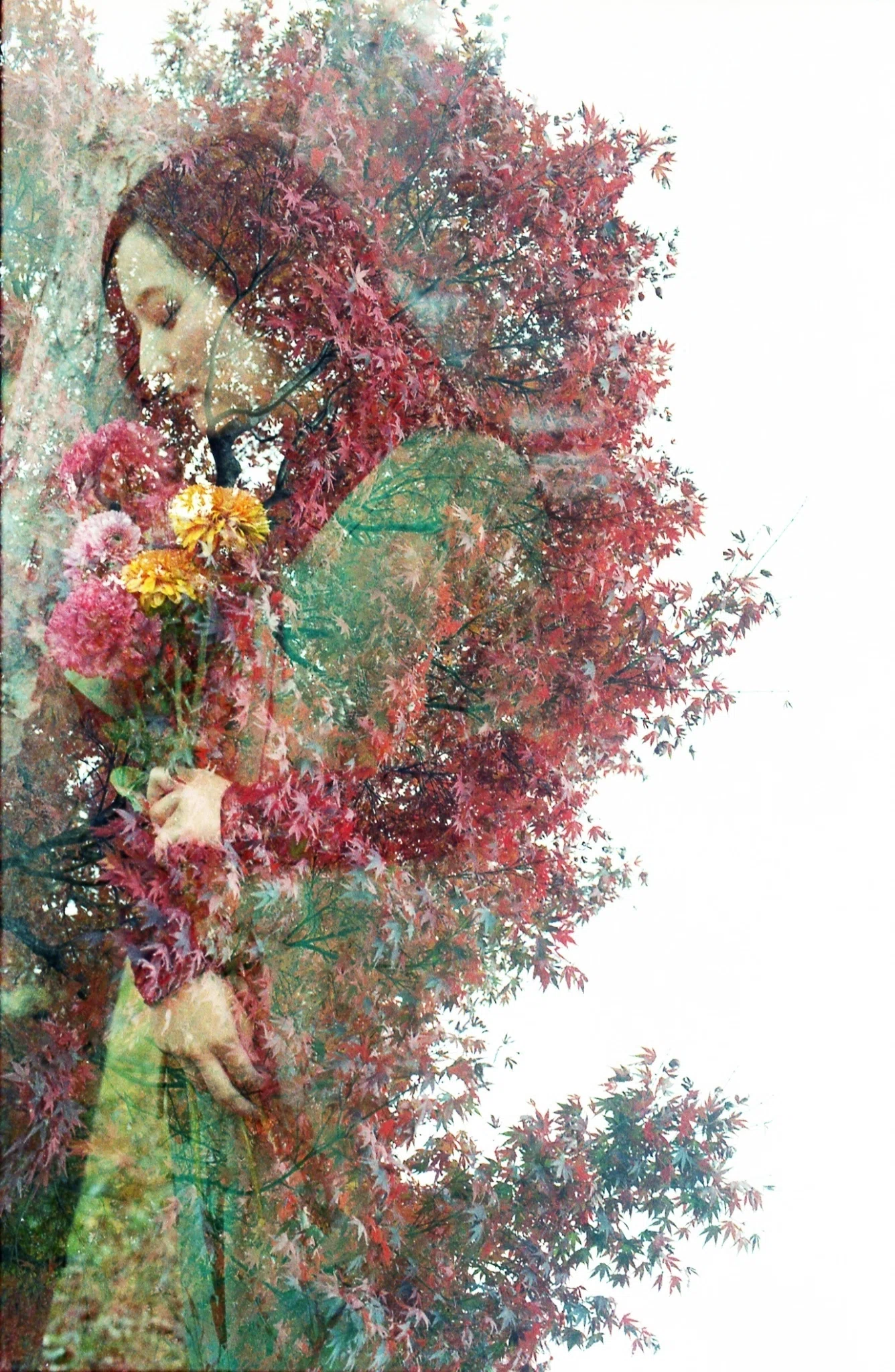 絵みたいな写真 写真みたいな絵｜ケルト