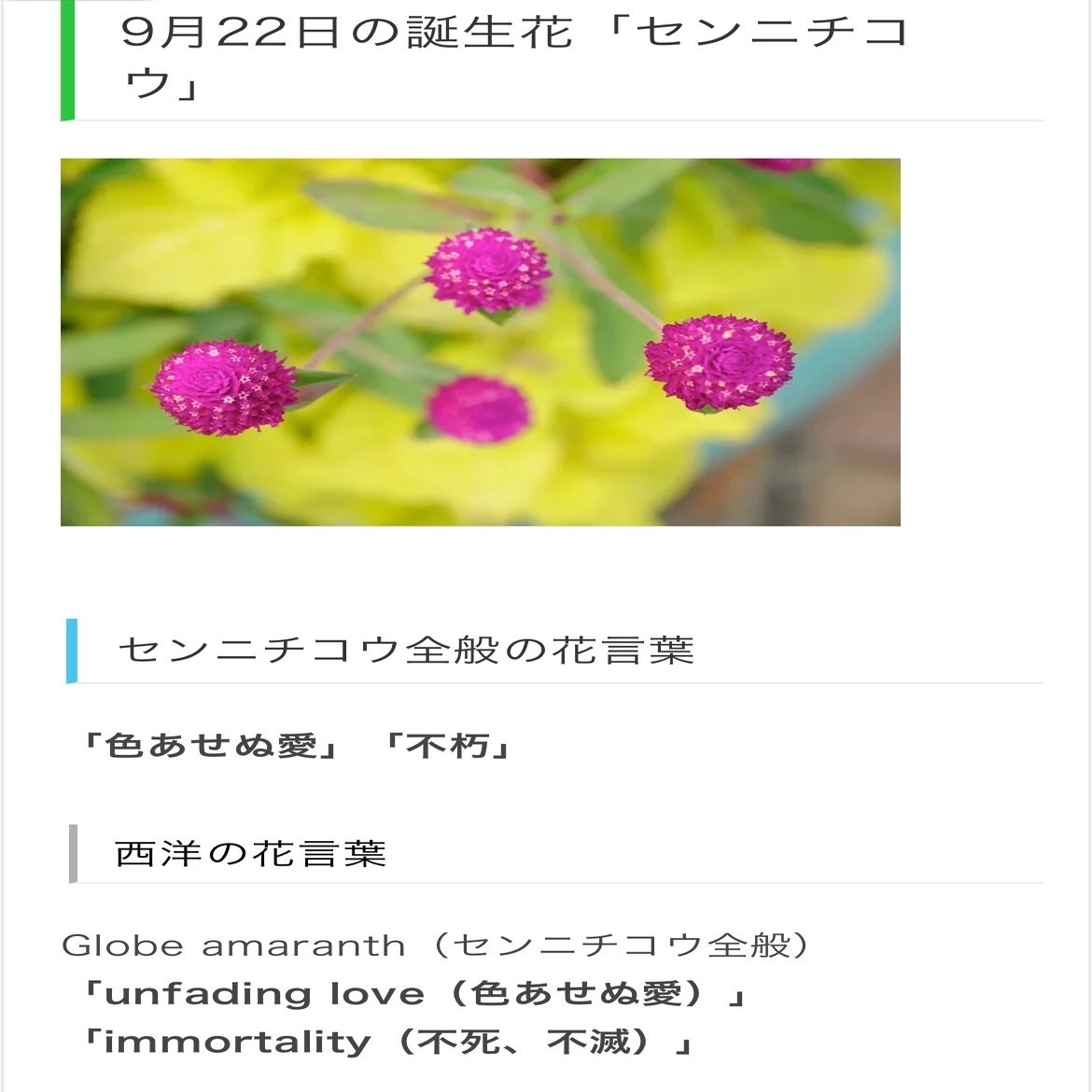 9月22日生まれのあなたへ Chiyo Note