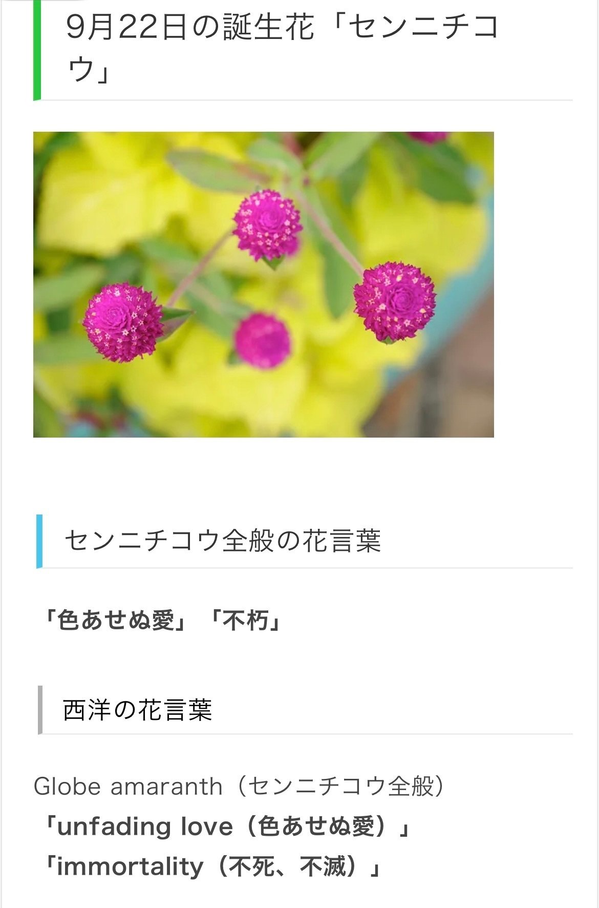 9月22日生まれのあなたへ Chiyo Note 9月22日生まれのあなたへ Chiyo Note