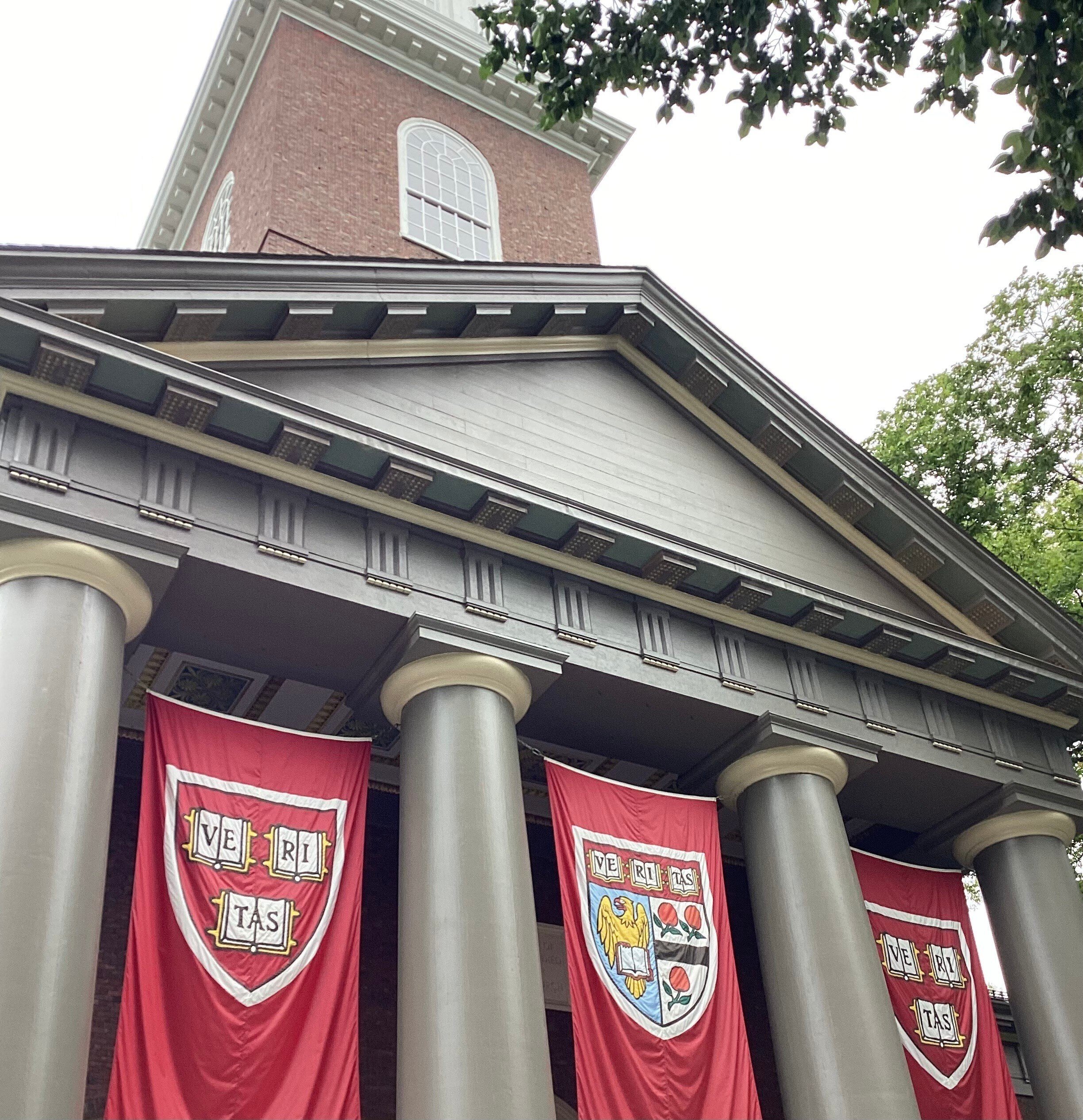 学校に行ってみた】アメリカ、Harvard大学｜西山和季