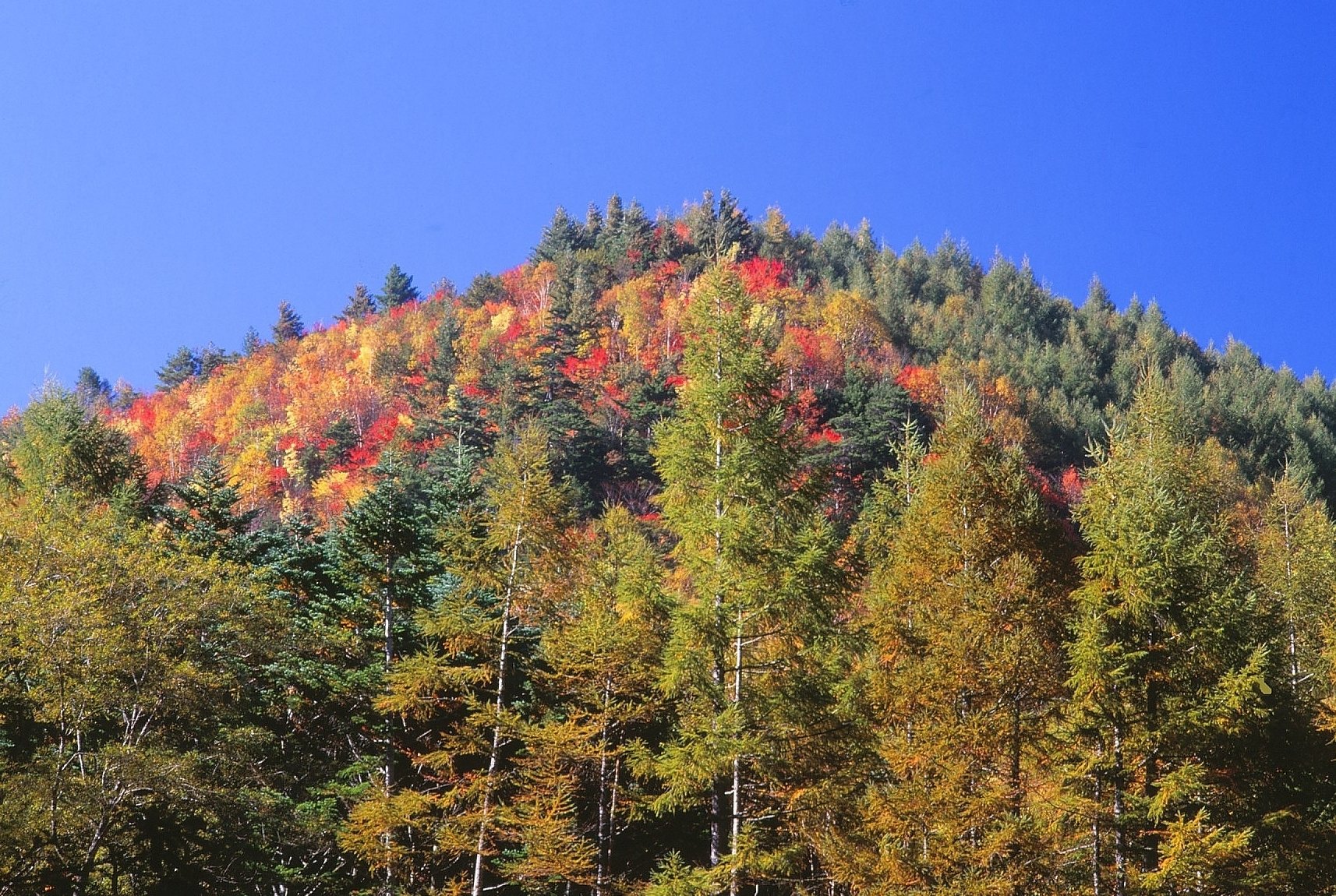 山の紅葉｜秋のワンダーフォーゲル