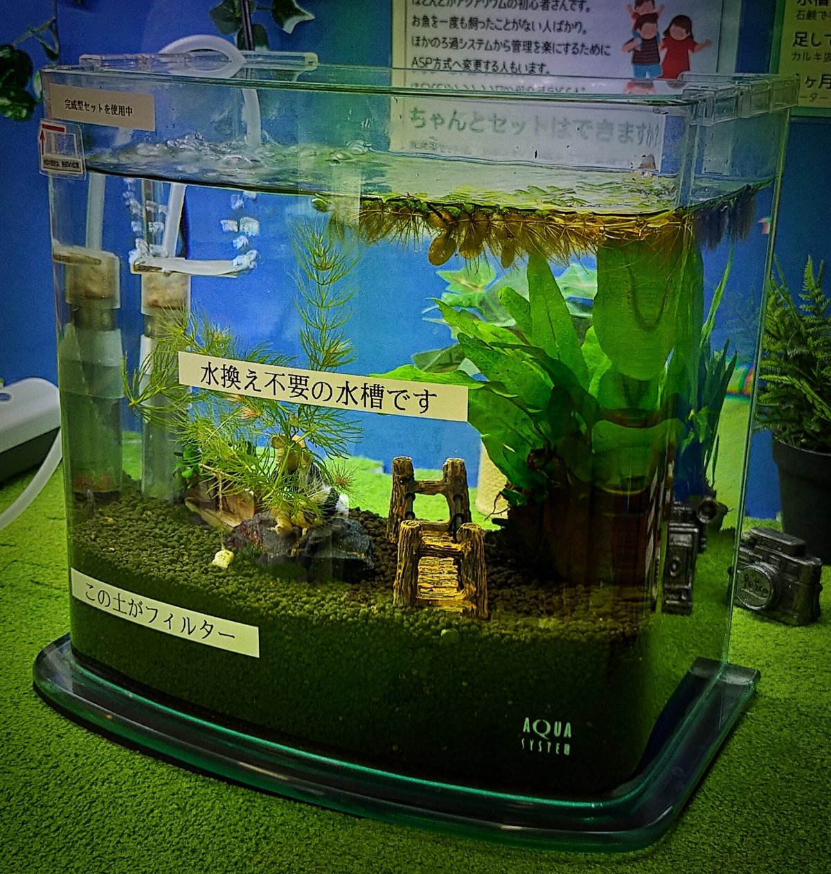 スナモ店の完成型セットを解説｜アクアステージ21スナモ店（内藤） 