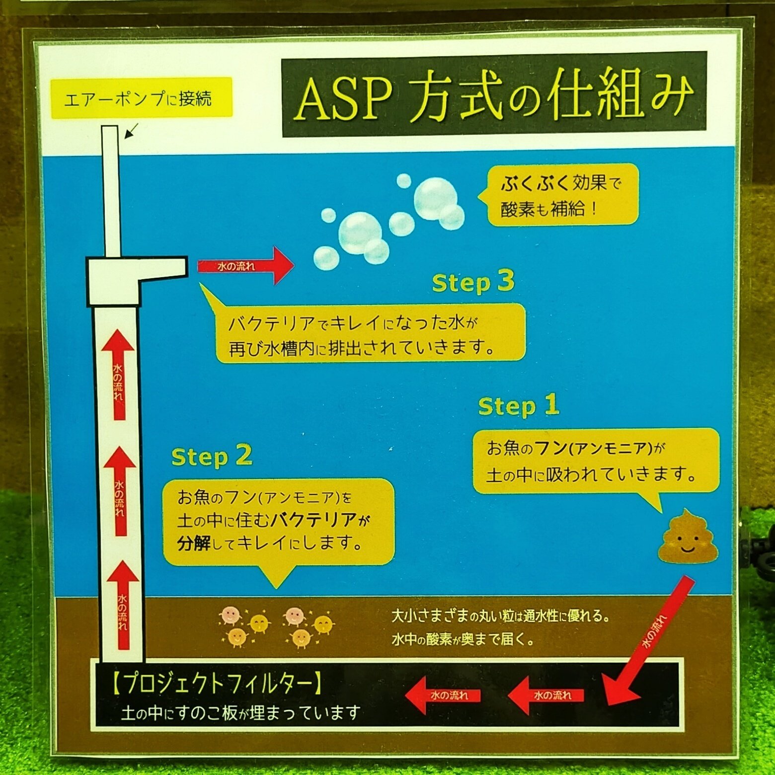 スナモ店の完成型セットを解説｜アクアステージ21 SUNAMO店（内藤）