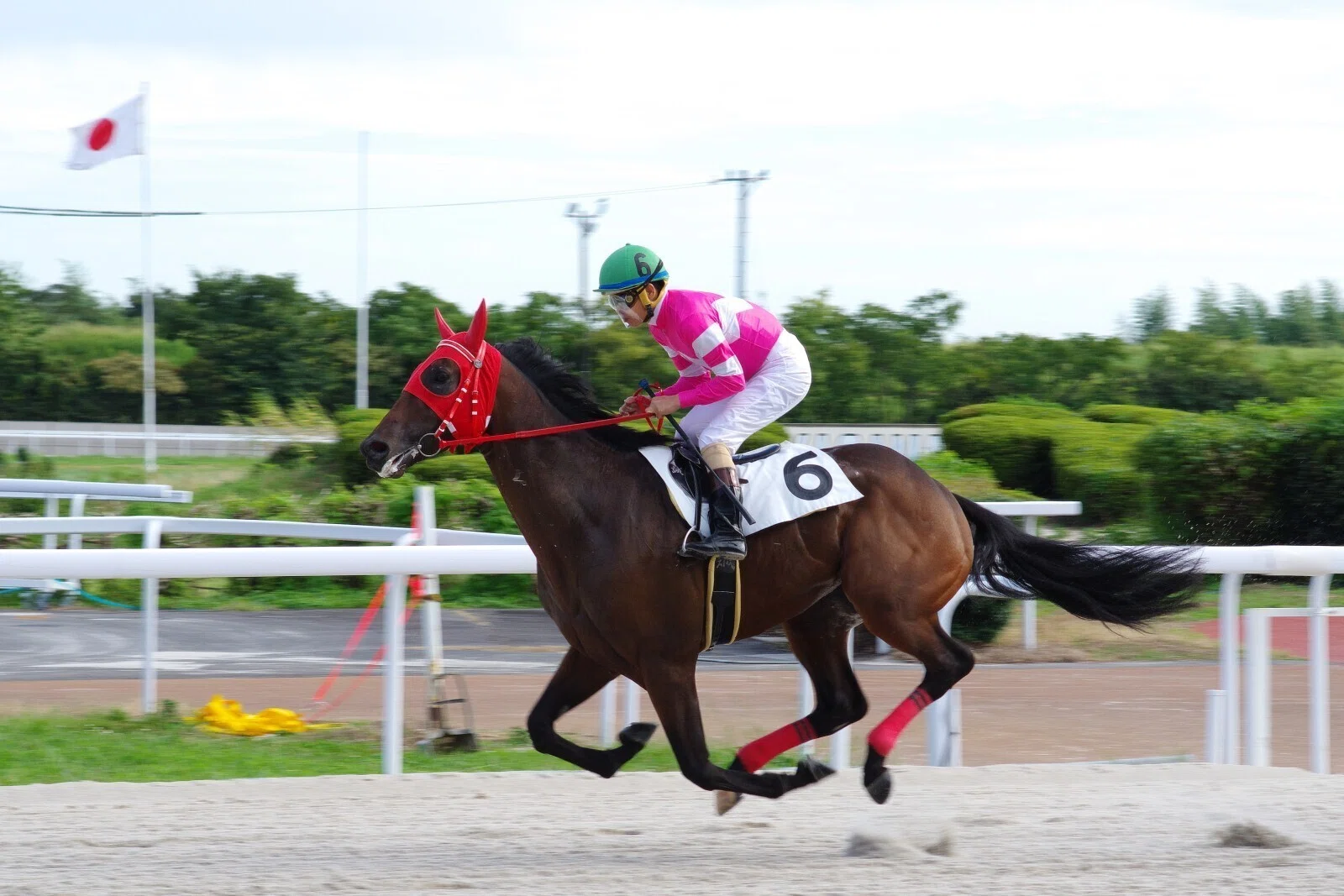笠松競馬の眼前ダート (K-70 / smc PENTAX-DA 70mmF2.4 Limited)｜夢望