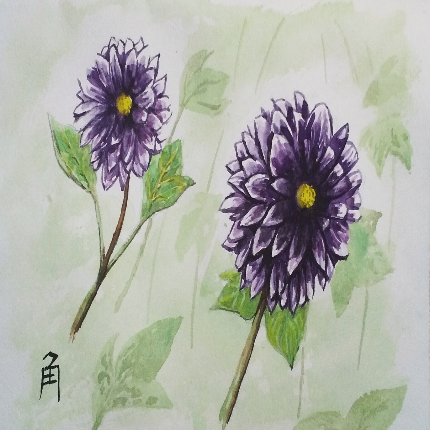 ダリア 角 京都 Note