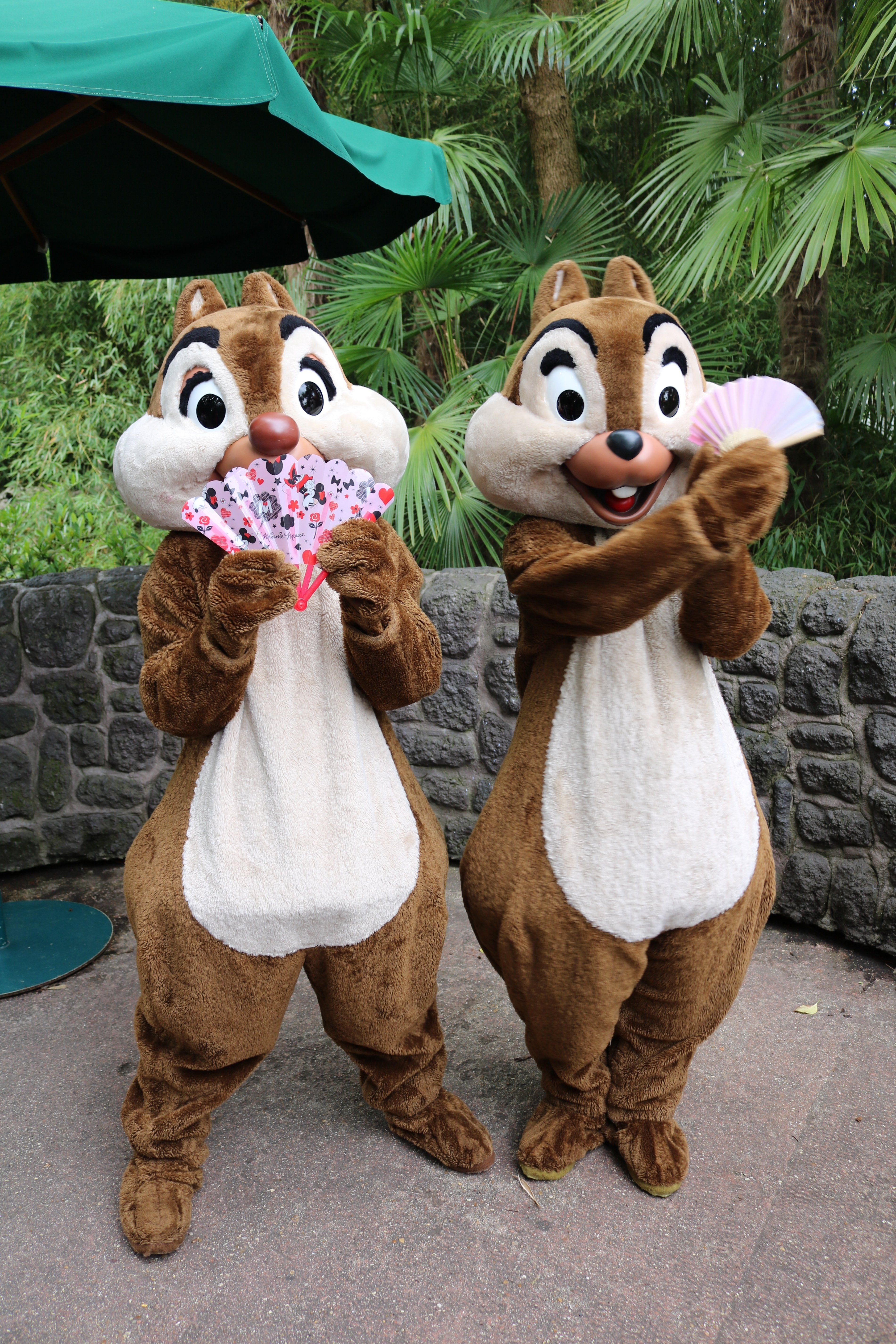 ディズニーランドパリ🏰チップとデールが扇子で踊る💃｜ミオルク