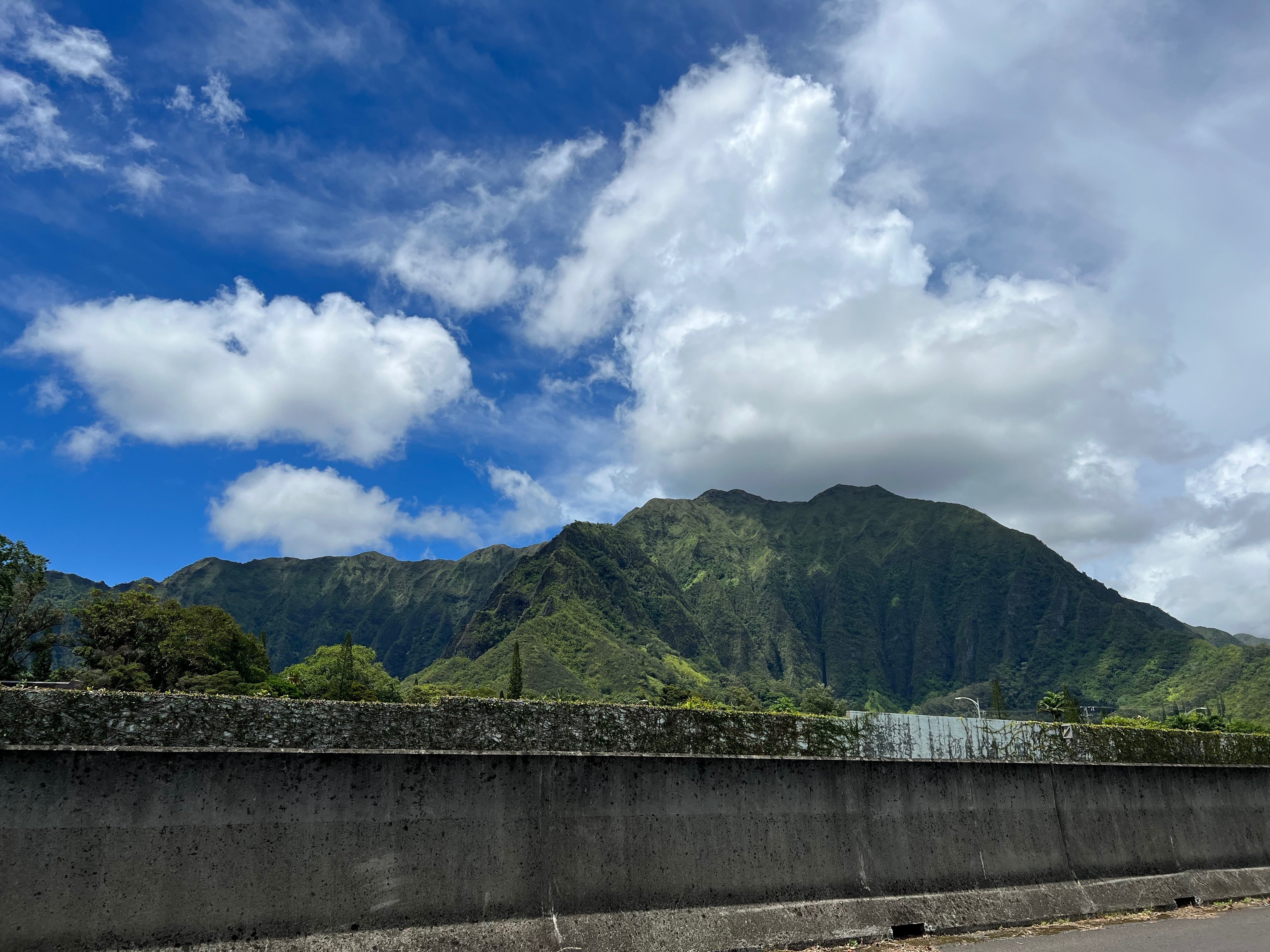 オアフ島の東側。ローカルに愛され続けるポイ・ファクトリーが好き