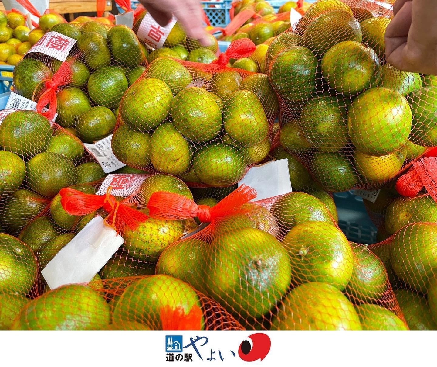 極早生みかんの甘さにびっくり 道の駅やよい 公式note Note