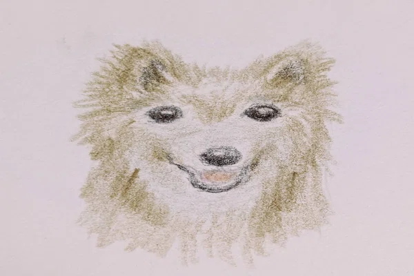 犬イラスト の新着タグ記事一覧 Note つくる つながる とどける