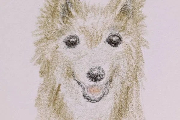 犬イラスト の新着タグ記事一覧 Note つくる つながる とどける 犬イラスト の新着タグ記事一覧 Note つくる つながる とどける